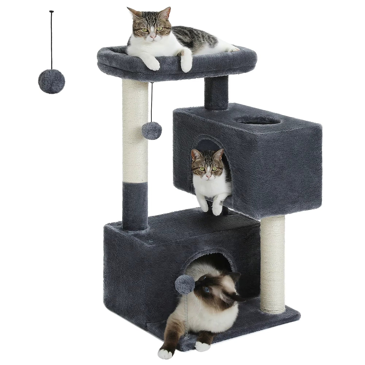 Cat Trees & Scratchers