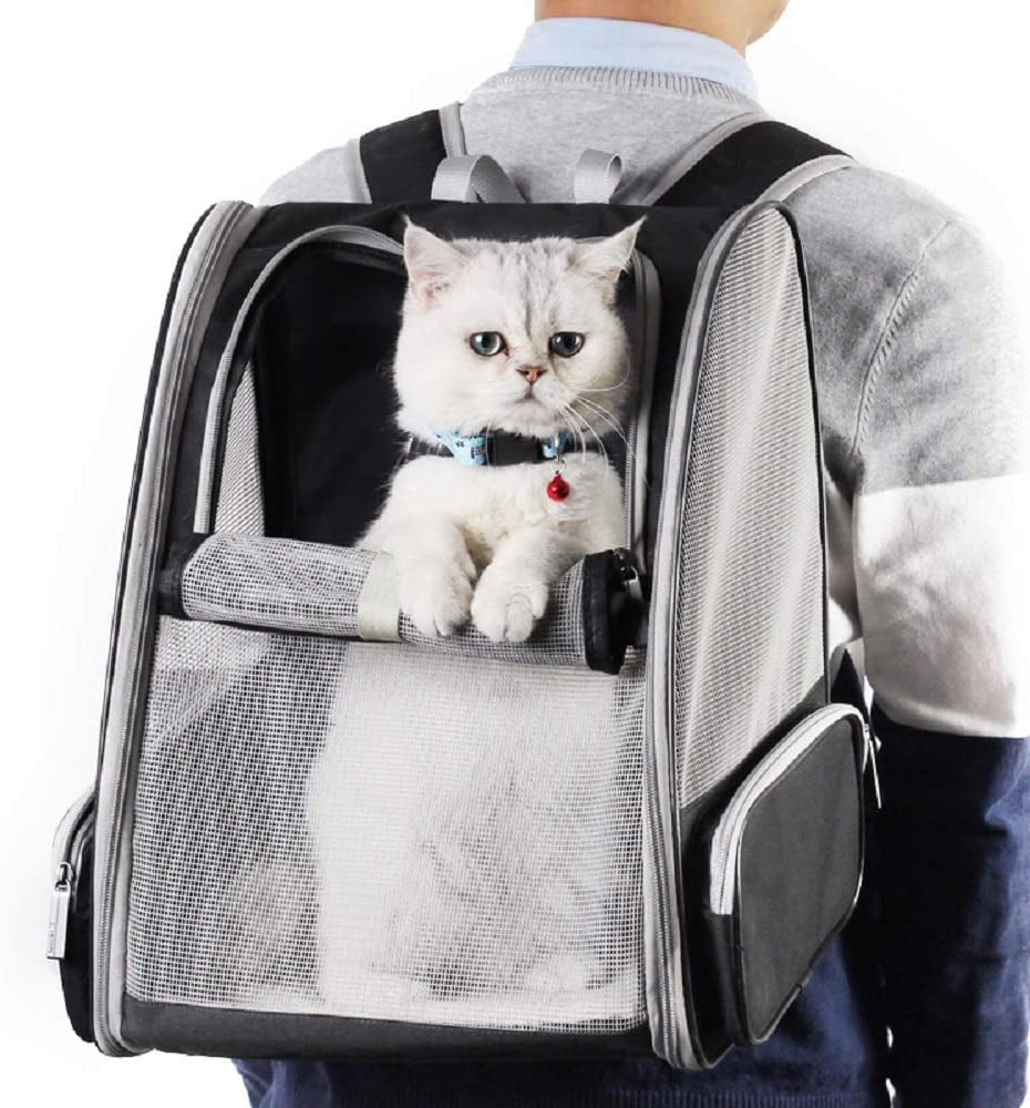 Cat Travel & Carriers