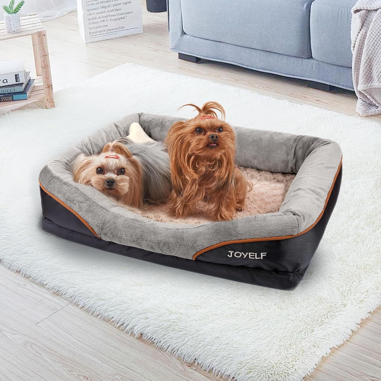 Dog Beds