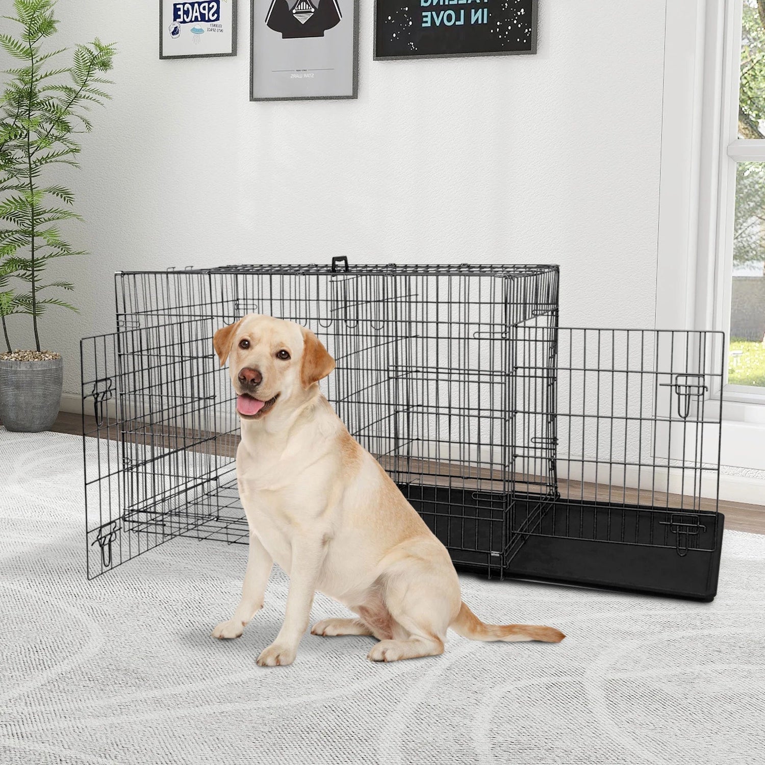 Dog Crates & Gates