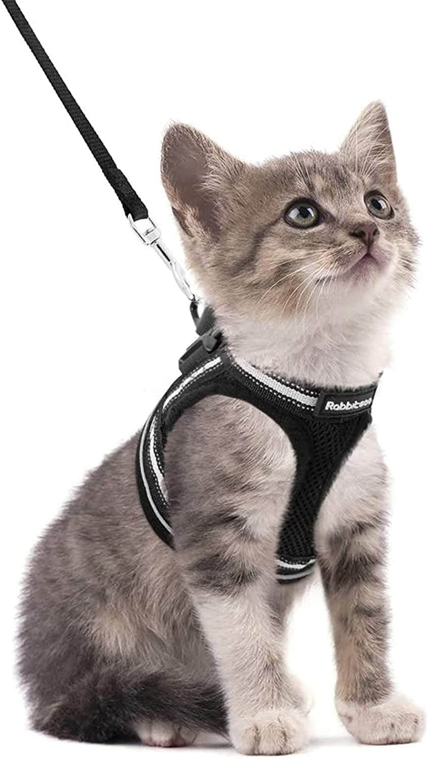 Cat Harness and Leash Set for Walking Escape Proof, Adjustable Soft Kittens Vest with Reflective Strip for Cats, Comfortable Outdoor Vest, Black, Small