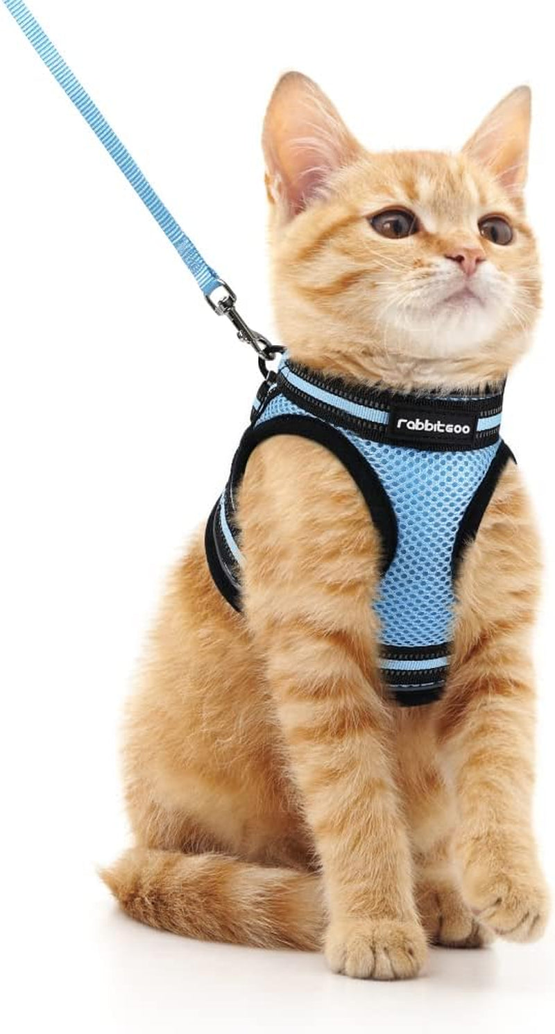 Cat Harness and Leash Set for Walking Escape Proof, Adjustable Soft Kittens Vest with Reflective Strip for Cats, Comfortable Outdoor Vest, Black, Small