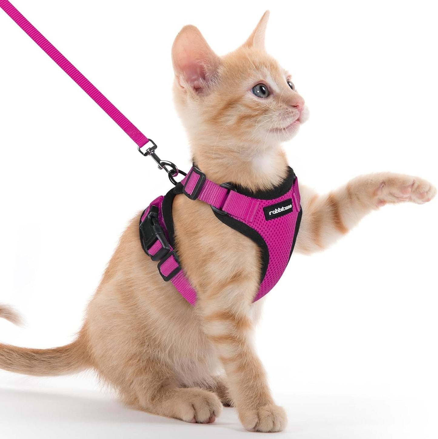 Cat Harness and Leash for Walking, Escape Proof Soft Adjustable Vest Harnesses for Small Medium Cats, Easy Control Breathable Reflective Strips Jacket, XS, Black