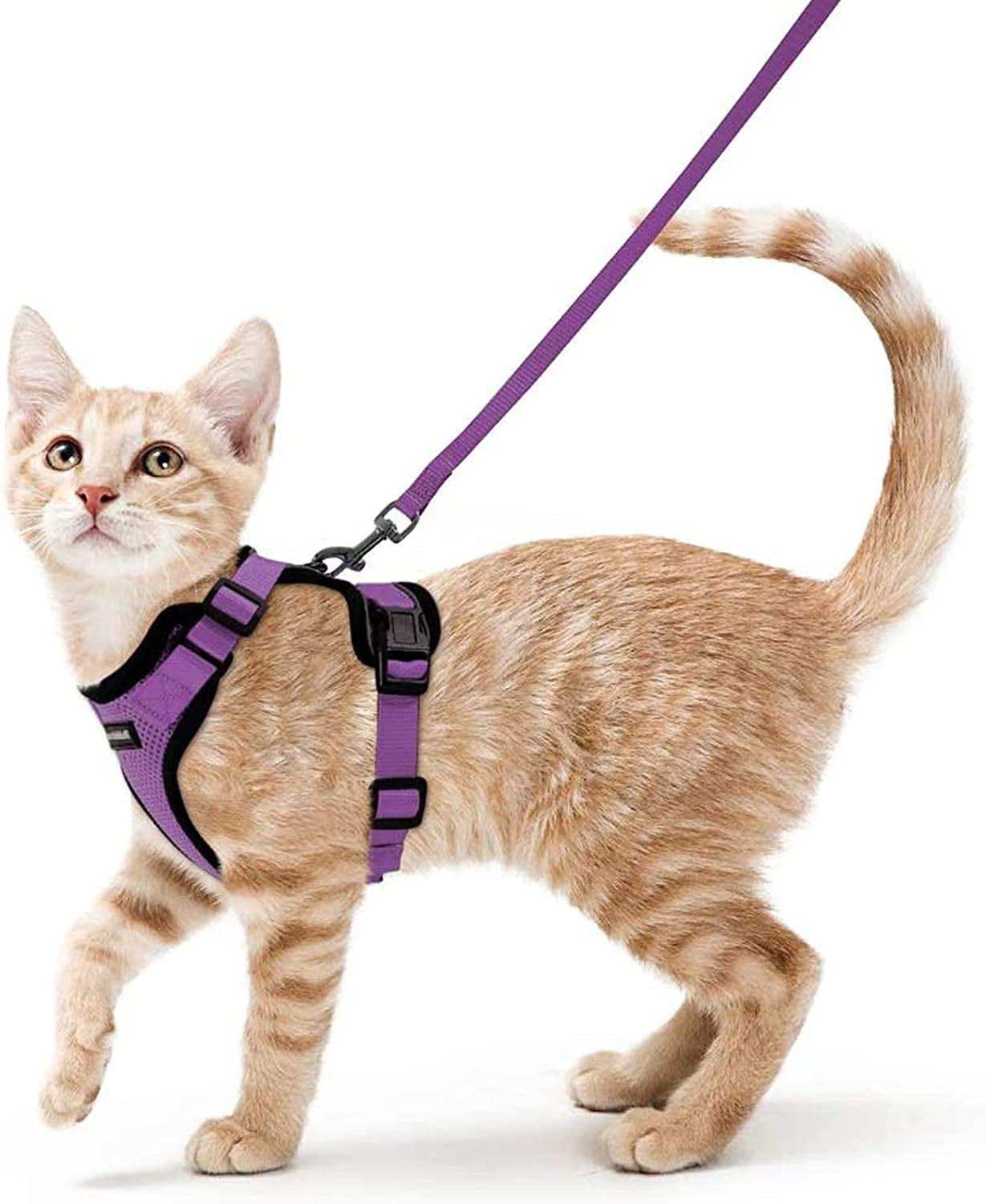 Cat Harness and Leash for Walking, Escape Proof Soft Adjustable Vest Harnesses for Small Medium Cats, Easy Control Breathable Reflective Strips Jacket, XS, Black