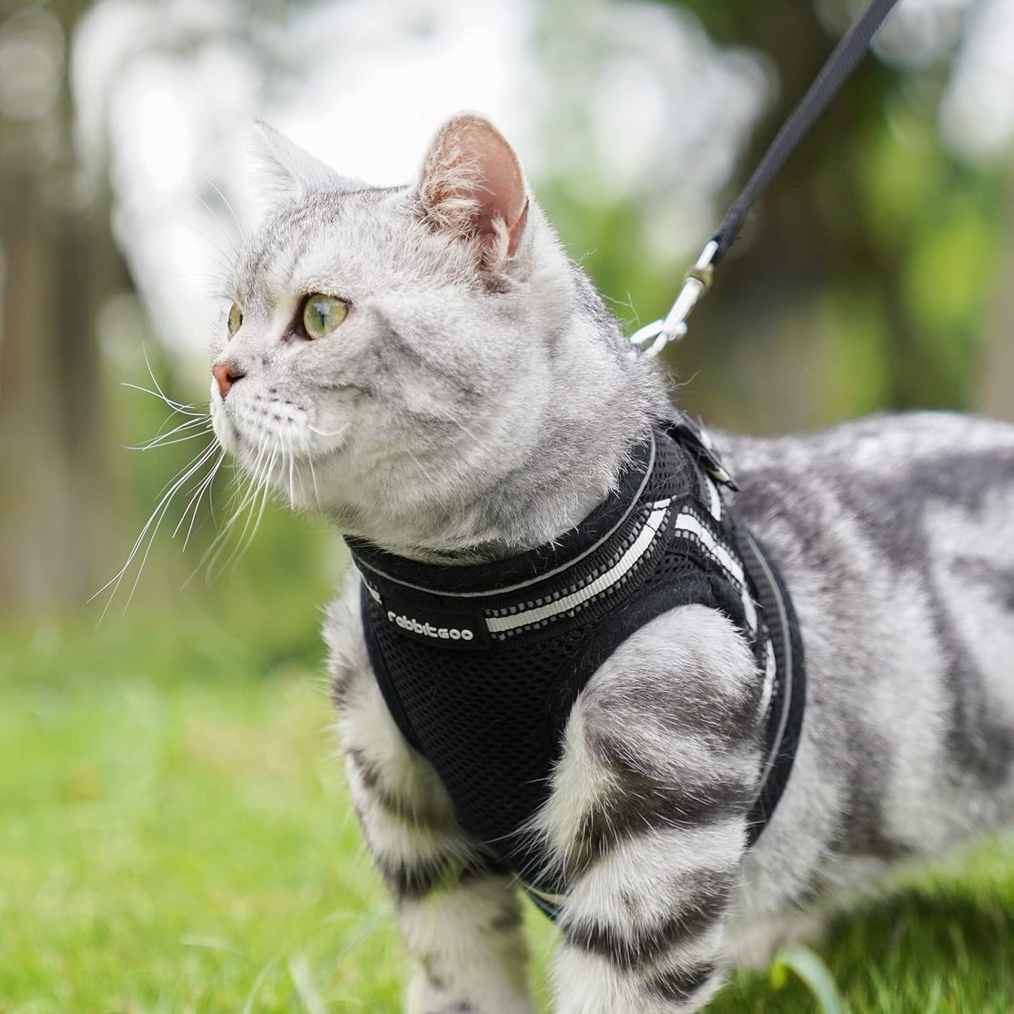 Cat Harness and Leash Set for Walking Escape Proof, Adjustable Soft Kittens Vest with Reflective Strip for Cats, Comfortable Outdoor Vest, Black, Small