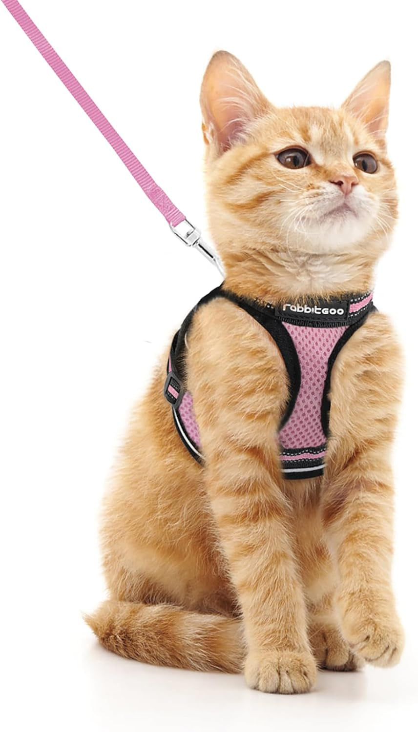 Cat Harness and Leash Set for Walking Escape Proof, Adjustable Soft Kittens Vest with Reflective Strip for Cats, Comfortable Outdoor Vest, Black, Small