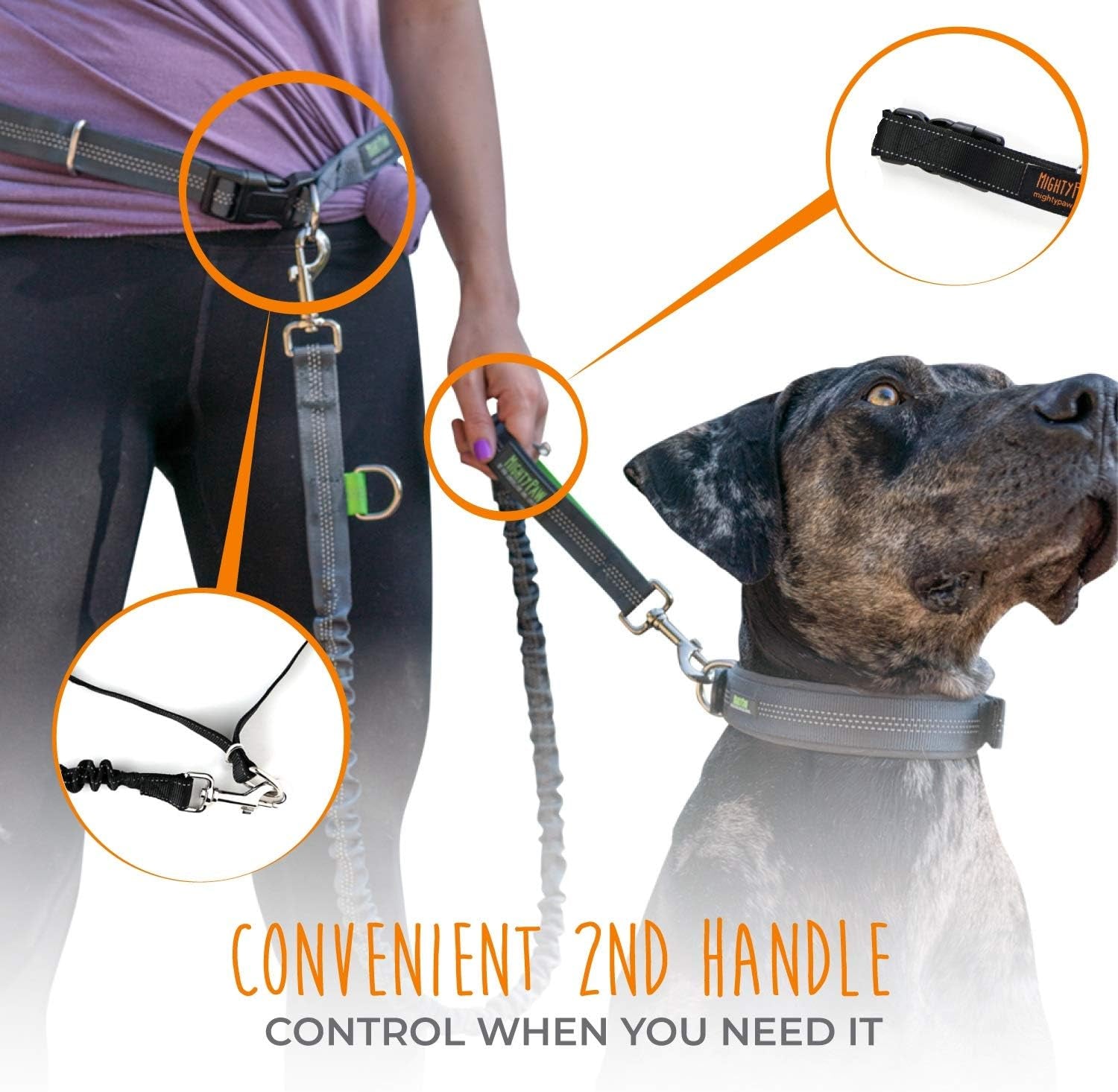 Hands Free Dog Leash | Bungee Waist Leash for Dog Walking. Pet Running Hands Free Tether for Large, Medium & Small Breeds. Pet Waist Belt (36" - 48") up to 150 Lbs - Black