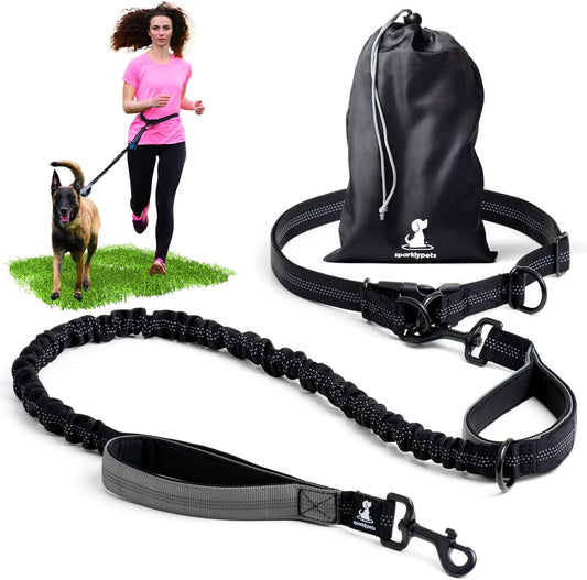 Hands-Free Dog Leash for Medium and Large Breeds – Professional Harness with Reflective Stitches for Training, Walking, Jogging and Running Your Pet (Gray, for 1 Dog)