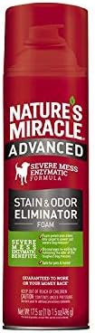 Advanced Stain & Odor Remover - 32Oz Trigger