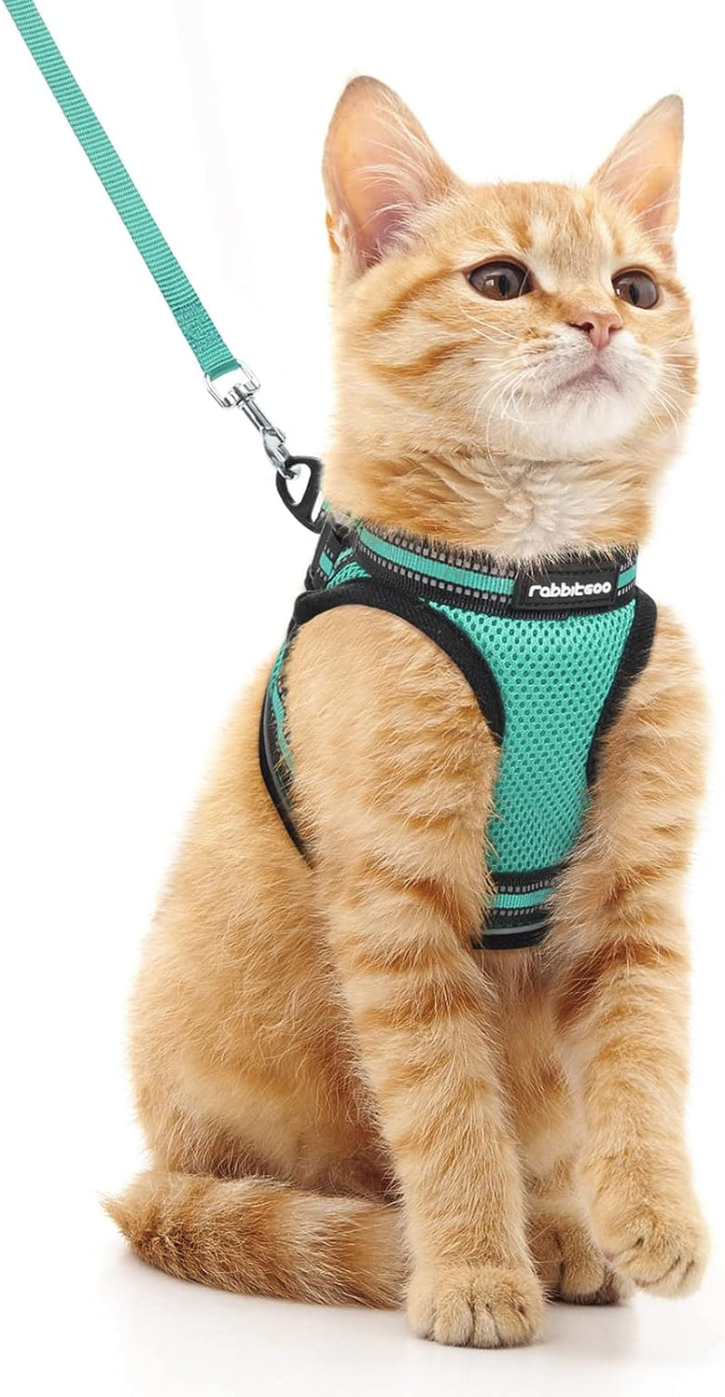 Cat Harness and Leash Set for Walking Escape Proof, Adjustable Soft Kittens Vest with Reflective Strip for Cats, Comfortable Outdoor Vest, Black, Small