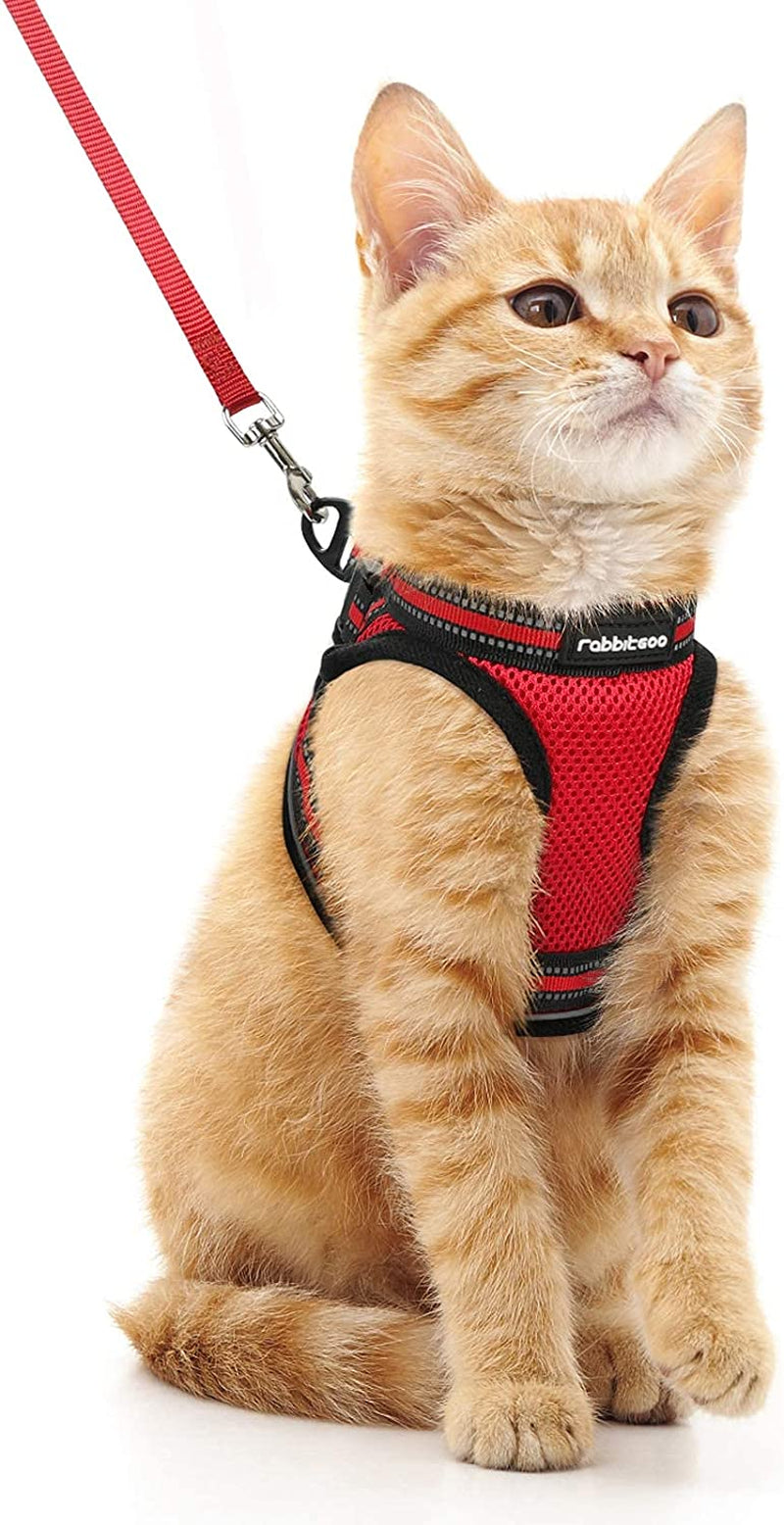 Cat Harness and Leash Set for Walking Escape Proof, Adjustable Soft Kittens Vest with Reflective Strip for Cats, Comfortable Outdoor Vest, Black, Small