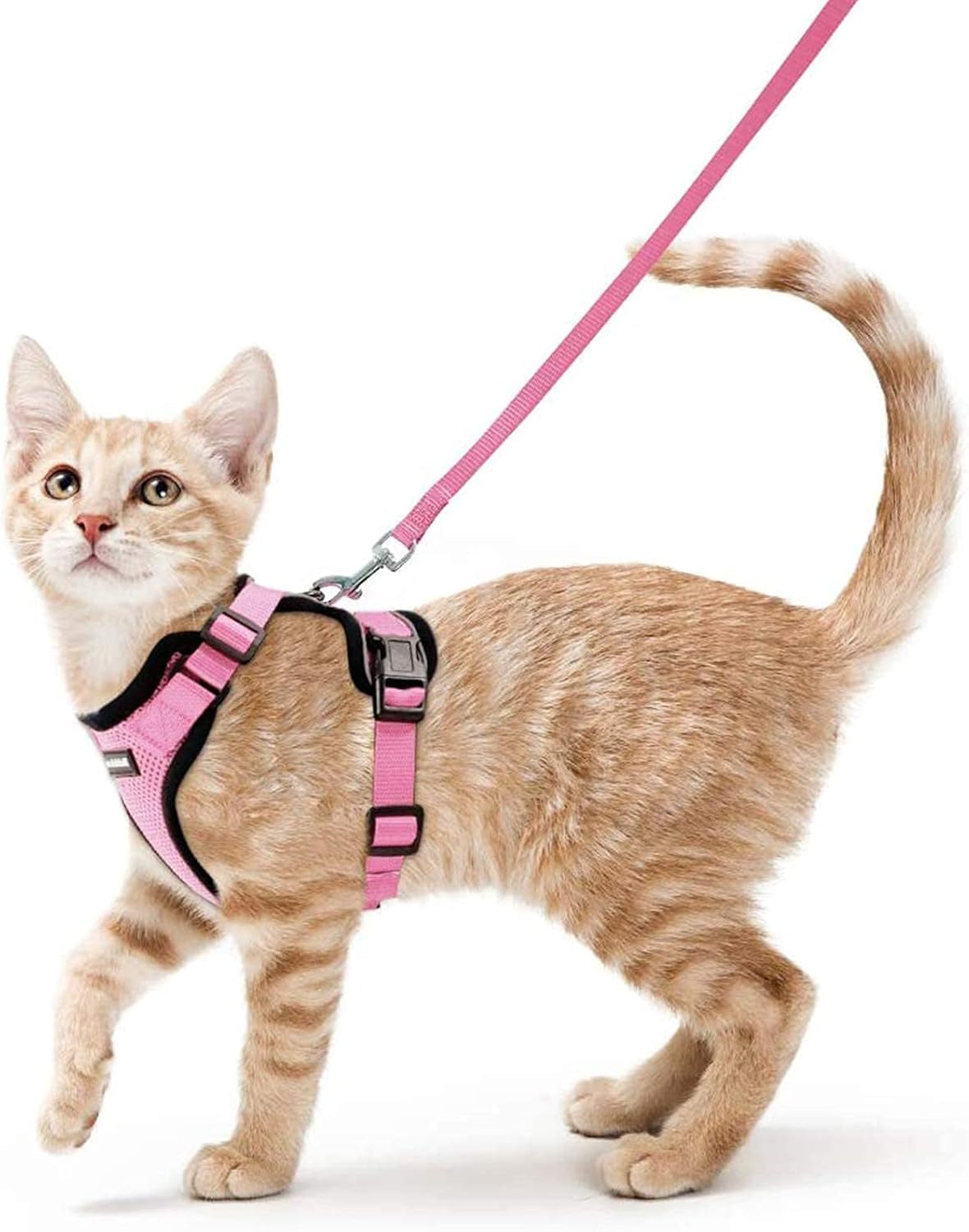 Cat Harness and Leash for Walking, Escape Proof Soft Adjustable Vest Harnesses for Small Medium Cats, Easy Control Breathable Reflective Strips Jacket, XS, Black