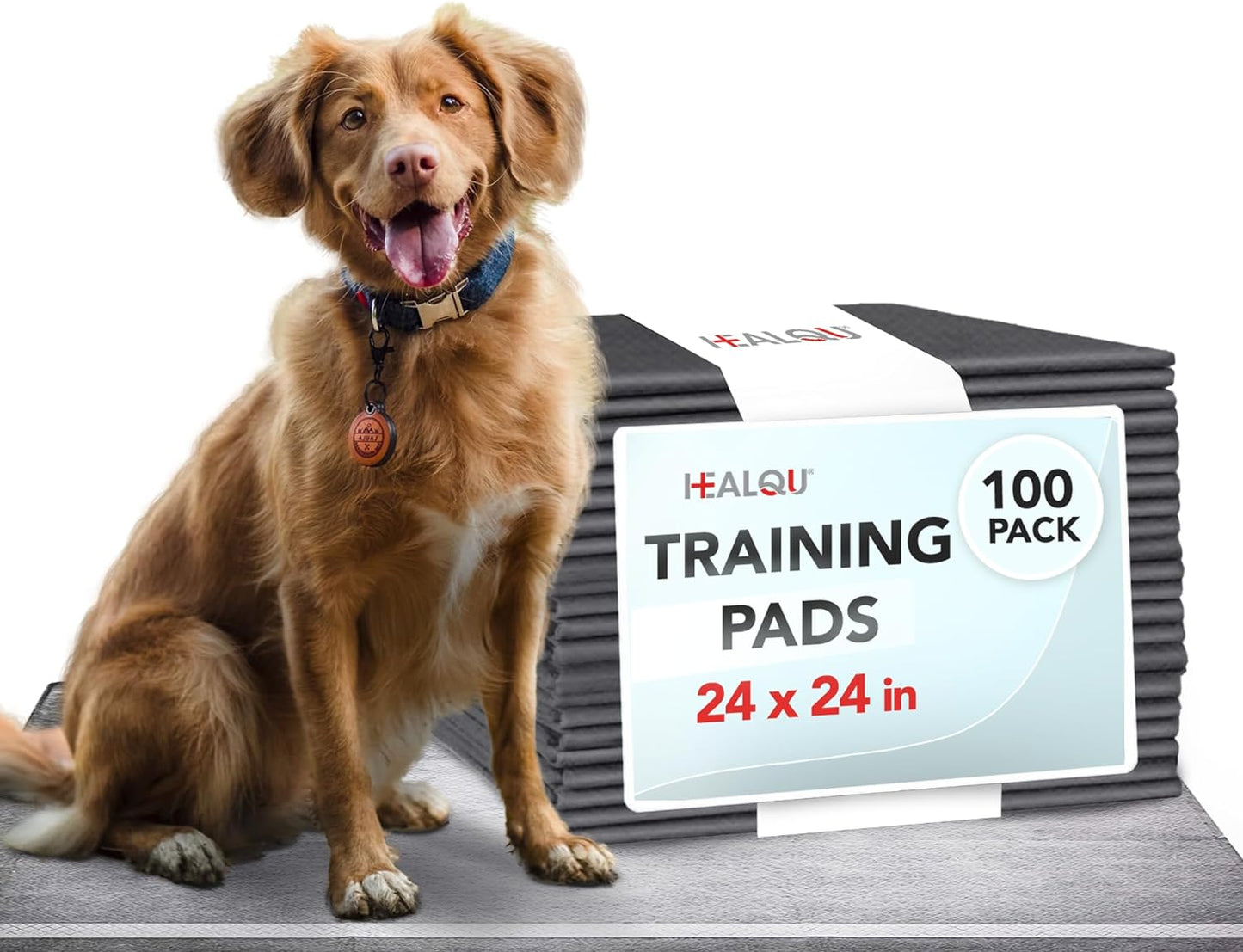 Puppy Pads - 24X24 100 Count, - Dog Training Pad with Activated Carbon & Advanced Leakproof Technology - Ultra Absorbent, Attractant Puppy Pee Pads - Dogs, Puppies, & Cats, Pet Training Pads