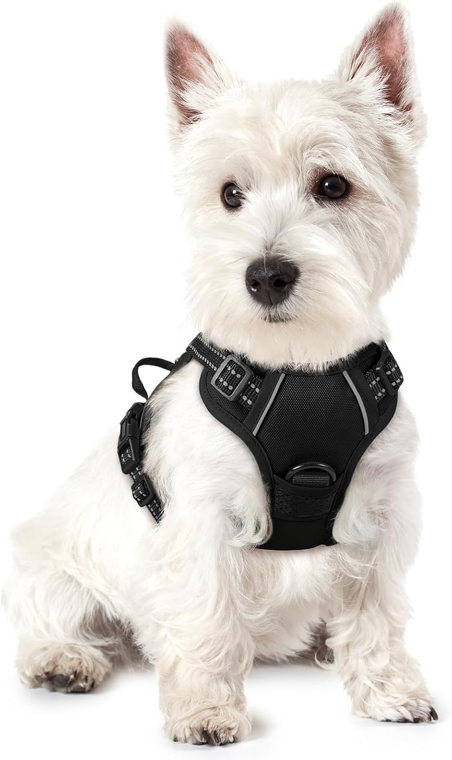 Dog Harness, No-Pull Pet Harness with 2 Leash Clips, Adjustable Soft Padded Vest, Reflective No-Choke Pet Oxford Vest with Easy Control Handle for Large Dogs, Black, L