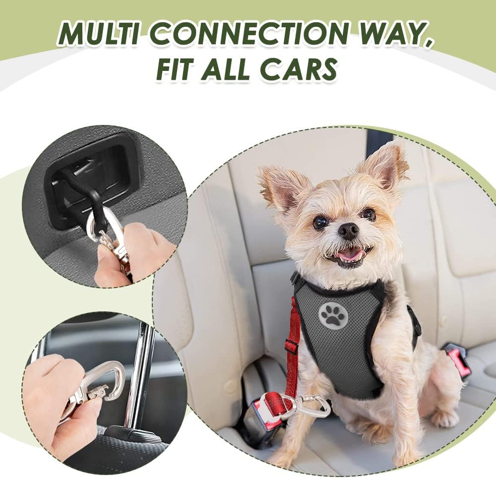 2 Pack Dog Seat Belt - Dog Car Seat Belt Adjustable with Elastic Bungee Buffer, Dog Car Seatbelt Tether & Latch Bar Attachment, Nylon Pet Safety Harness Leash for Vehicle (Red,2 in 1)