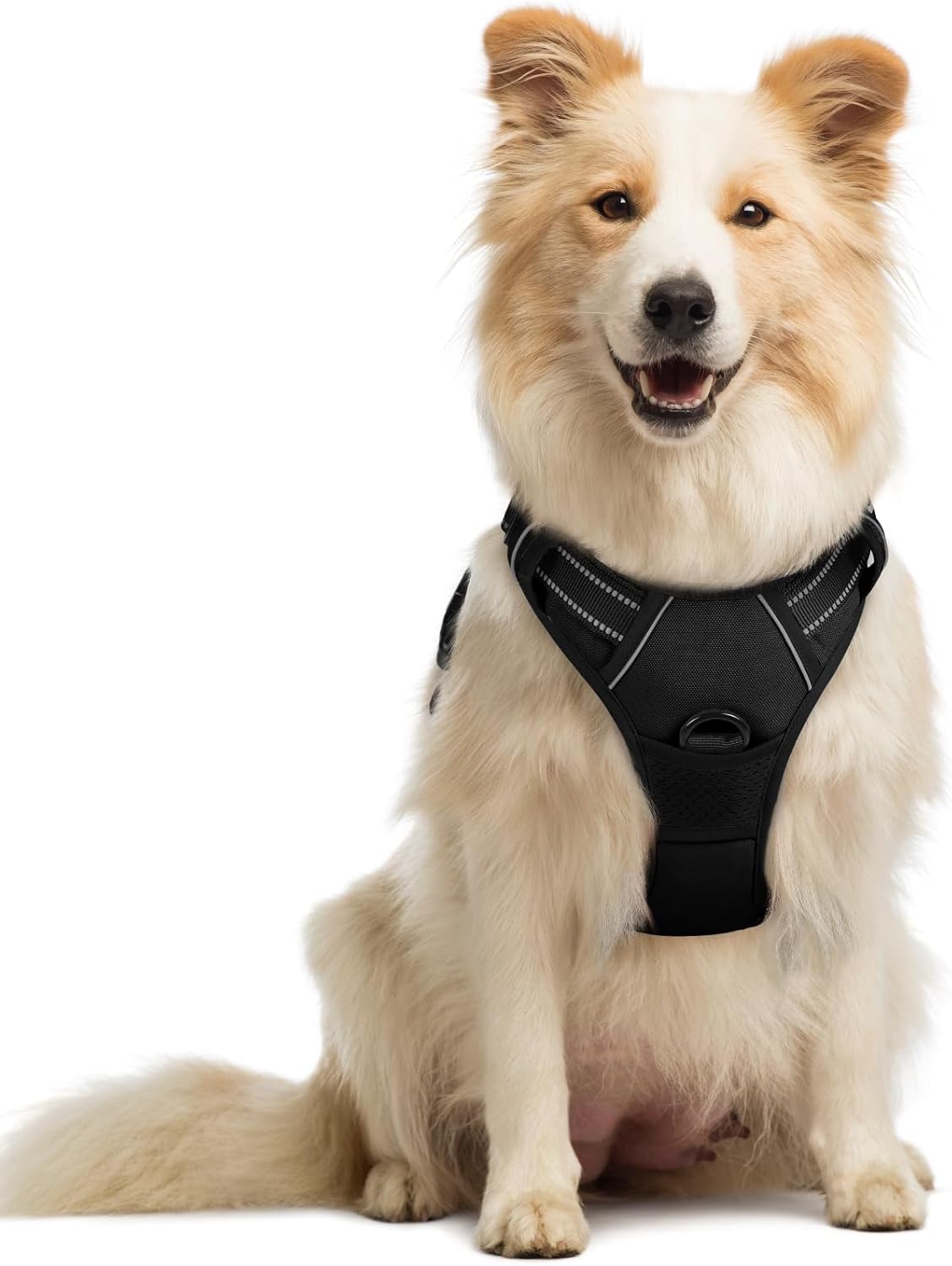 Dog Harness, No-Pull Pet Harness with 2 Leash Clips, Adjustable Soft Padded Vest, Reflective No-Choke Pet Oxford Vest with Easy Control Handle for Large Dogs, Black, L