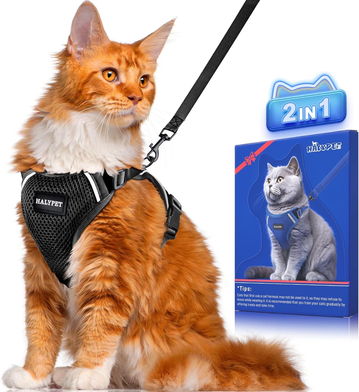 Cat Harness and Leash Set [ MAX Safety 3Rd Gen ] Escape Proof Cat Harness Soft Adjustable Cat Leash Breathable Comfortable Vest Easy to Wear Kitten Harness for Outdoor Walking, S Black