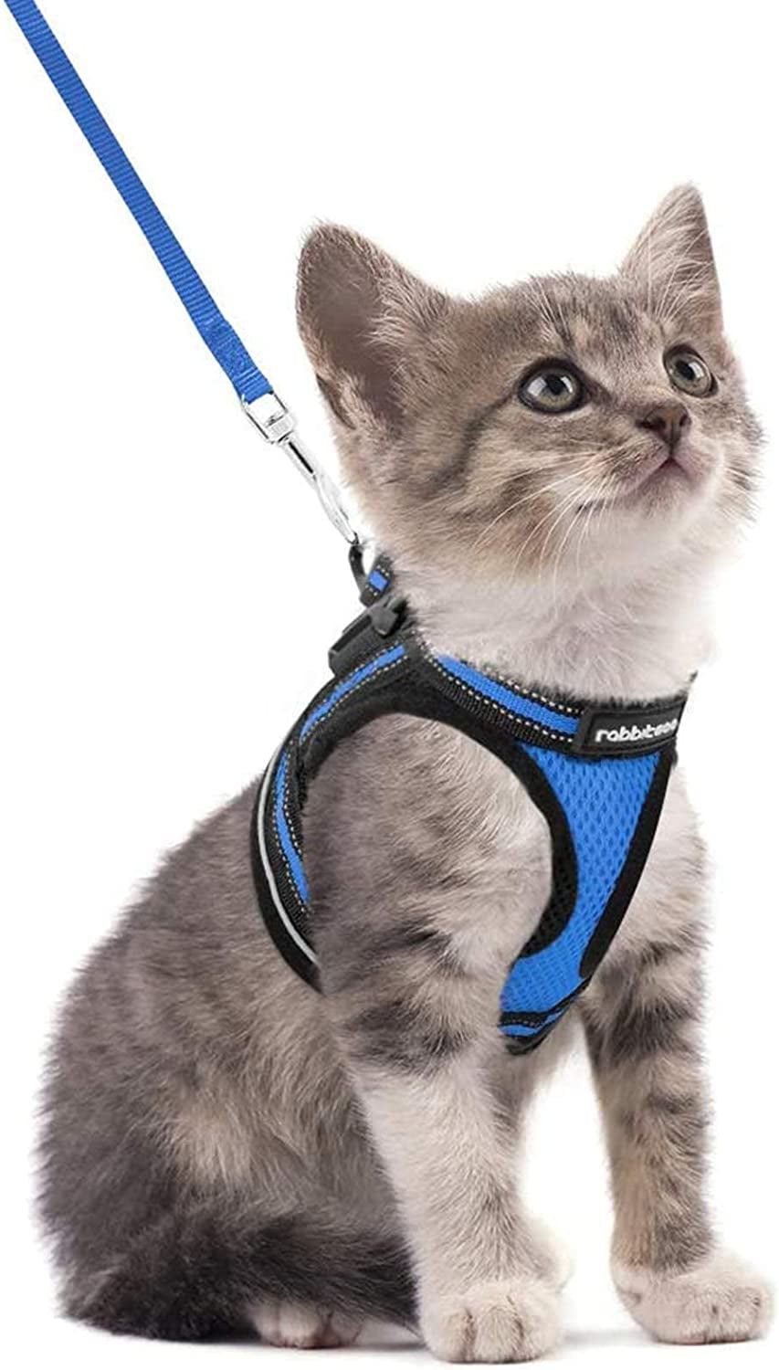 Cat Harness and Leash Set for Walking Escape Proof, Adjustable Soft Kittens Vest with Reflective Strip for Cats, Comfortable Outdoor Vest, Black, Small