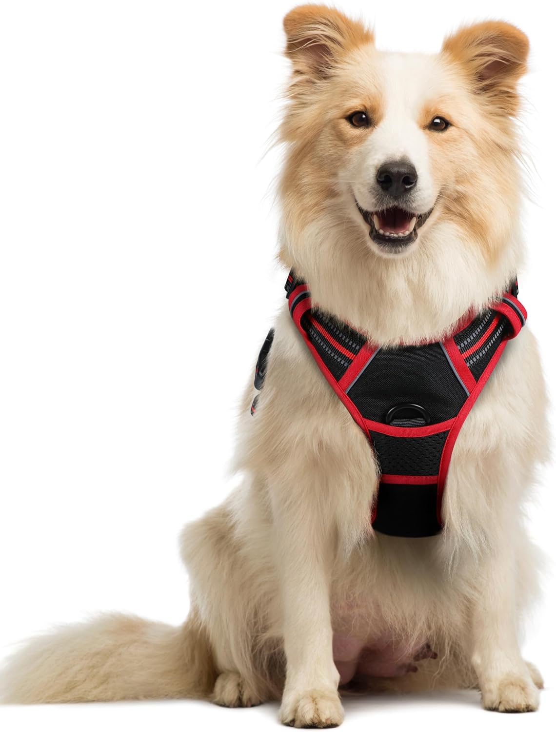 Dog Harness, No-Pull Pet Harness with 2 Leash Clips, Adjustable Soft Padded Vest, Reflective No-Choke Pet Oxford Vest with Easy Control Handle for Large Dogs, Black, L