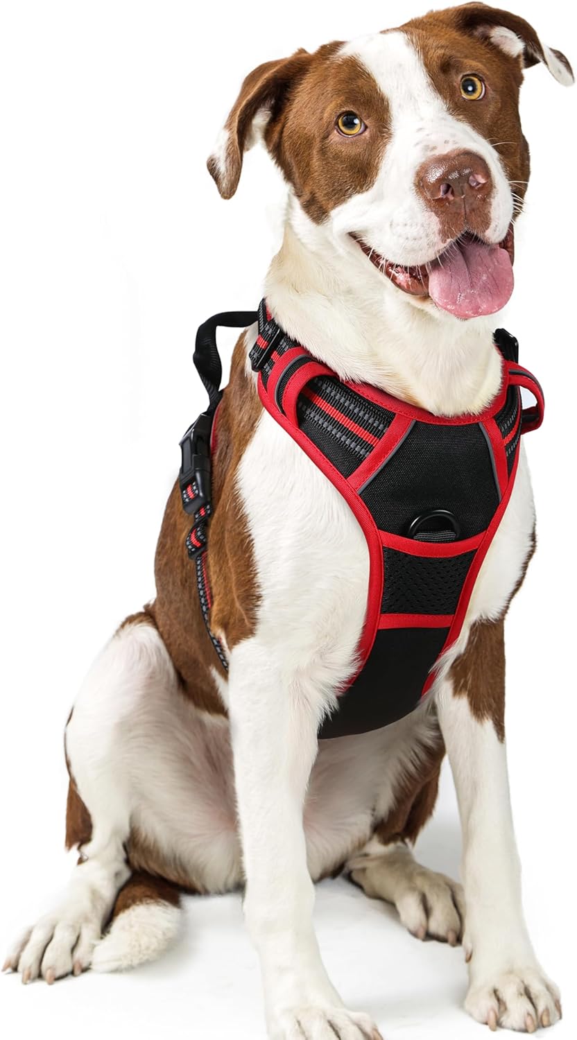 Dog Harness, No-Pull Pet Harness with 2 Leash Clips, Adjustable Soft Padded Vest, Reflective No-Choke Pet Oxford Vest with Easy Control Handle for Large Dogs, Black, L