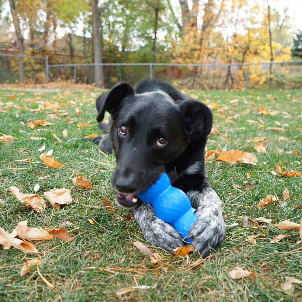 Genius Mike, Interactive Dog Feeding Toy