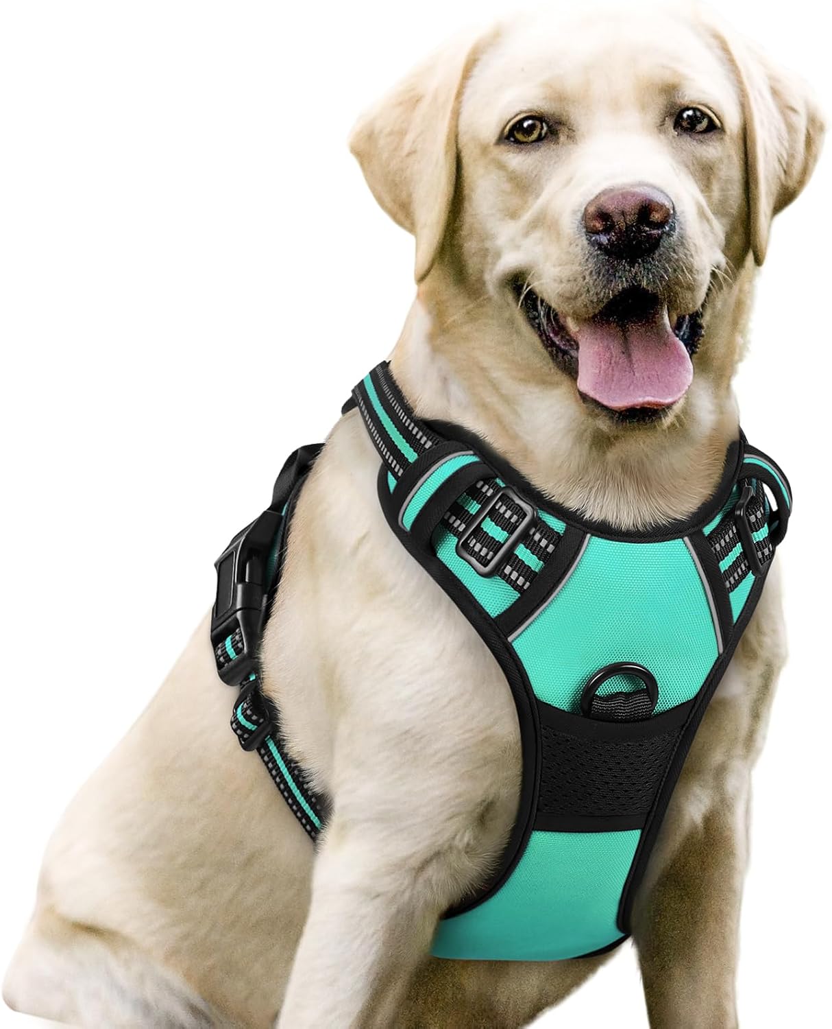 Dog Harness, No-Pull Pet Harness with 2 Leash Clips, Adjustable Soft Padded Vest, Reflective No-Choke Pet Oxford Vest with Easy Control Handle for Large Dogs, Black, L