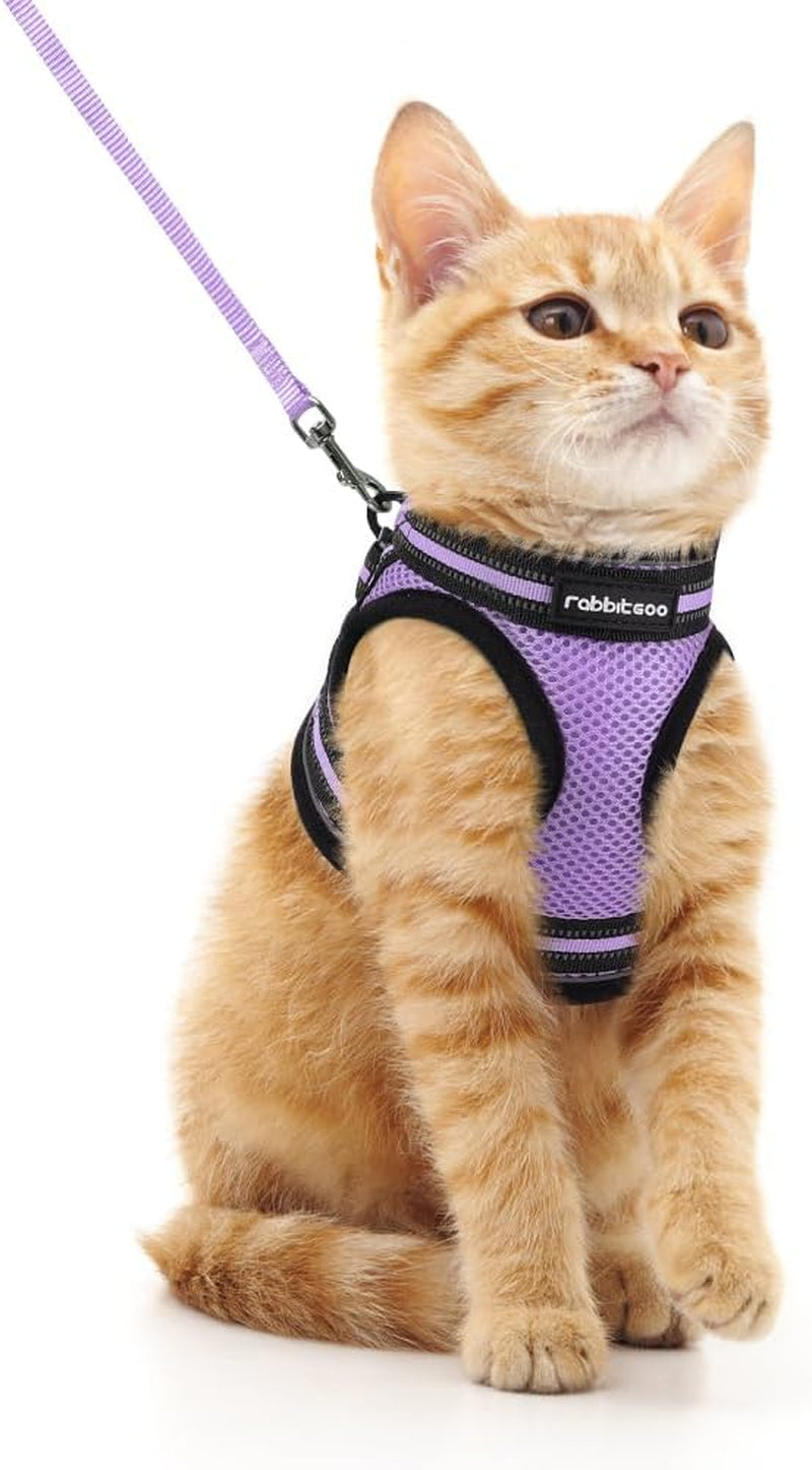 Cat Harness and Leash Set for Walking Escape Proof, Adjustable Soft Kittens Vest with Reflective Strip for Cats, Comfortable Outdoor Vest, Black, Small