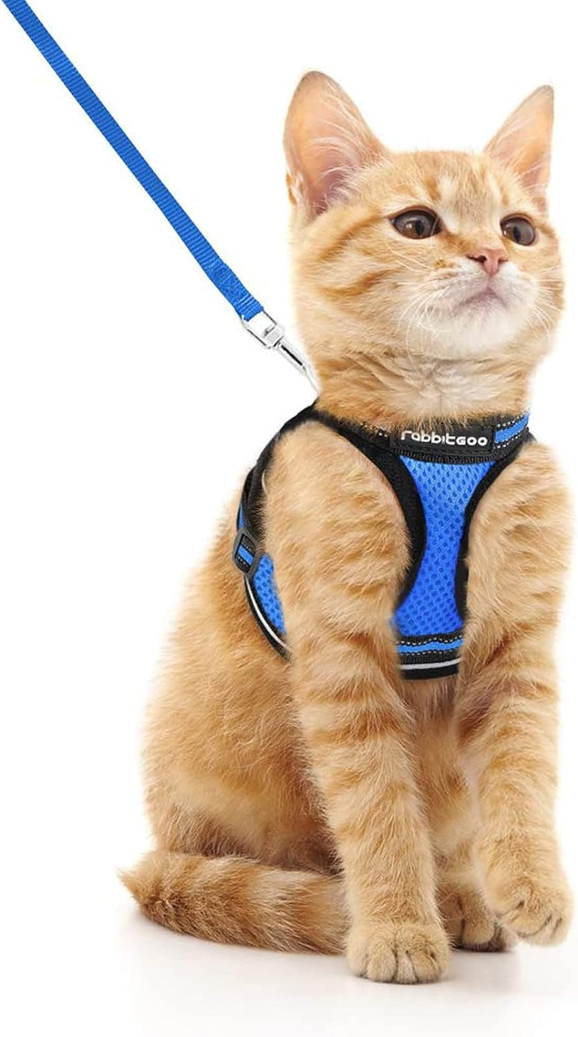 Cat Harness and Leash Set for Walking Escape Proof, Adjustable Soft Kittens Vest with Reflective Strip for Cats, Comfortable Outdoor Vest, Black, Small