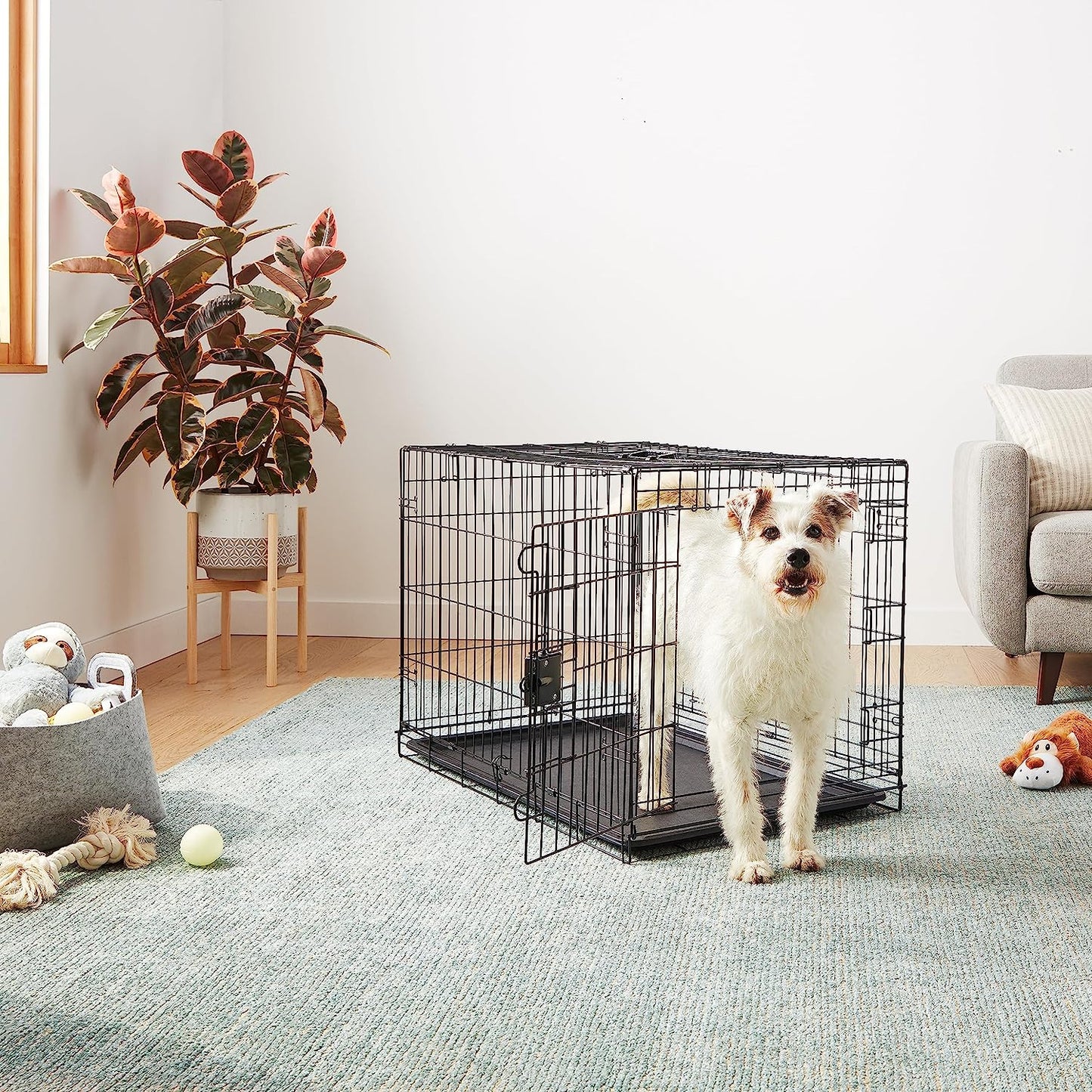 - Durable, Foldable Metal Wire Dog Crate with Tray, Double Door, 36 X 23 X 25 Inches, Black