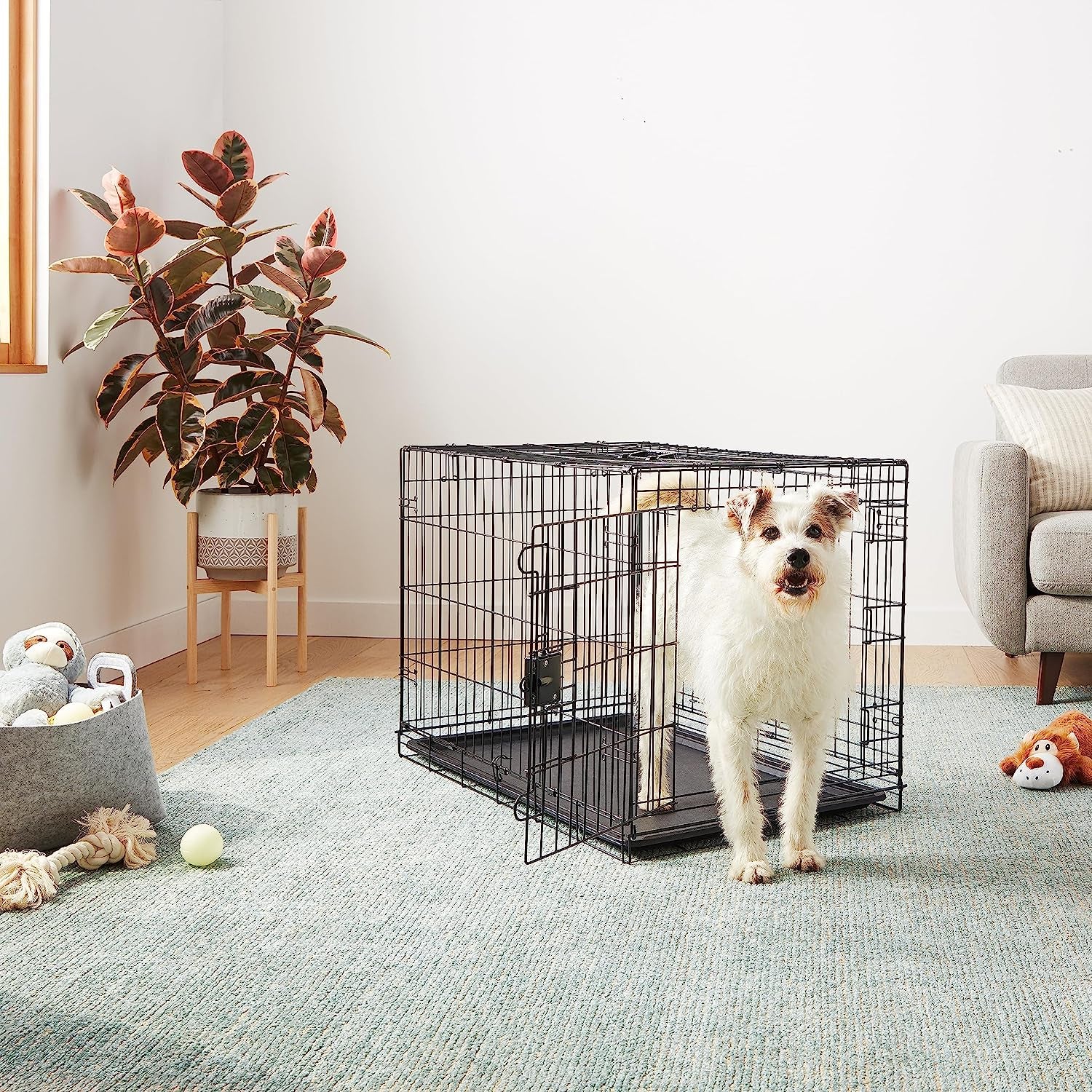 - Durable, Foldable Metal Wire Dog Crate with Tray, Double Door, 36 X 23 X 25 Inches, Black