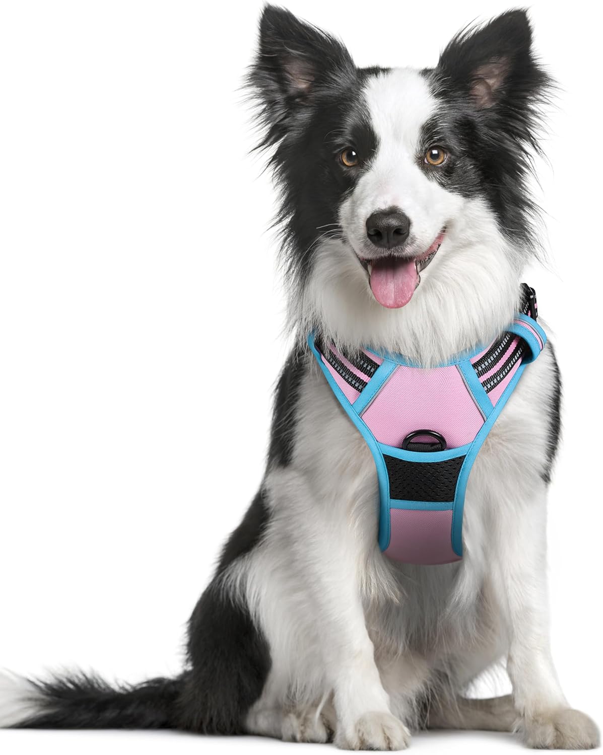 Dog Harness, No-Pull Pet Harness with 2 Leash Clips, Adjustable Soft Padded Vest, Reflective No-Choke Pet Oxford Vest with Easy Control Handle for Large Dogs, Black, L