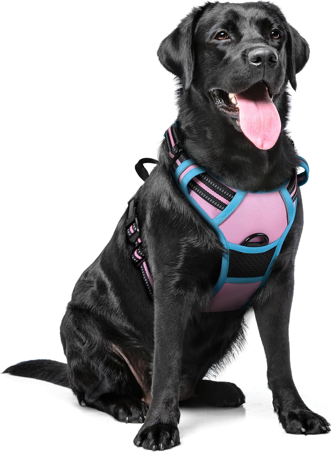 Dog Harness, No-Pull Pet Harness with 2 Leash Clips, Adjustable Soft Padded Vest, Reflective No-Choke Pet Oxford Vest with Easy Control Handle for Large Dogs, Black, L