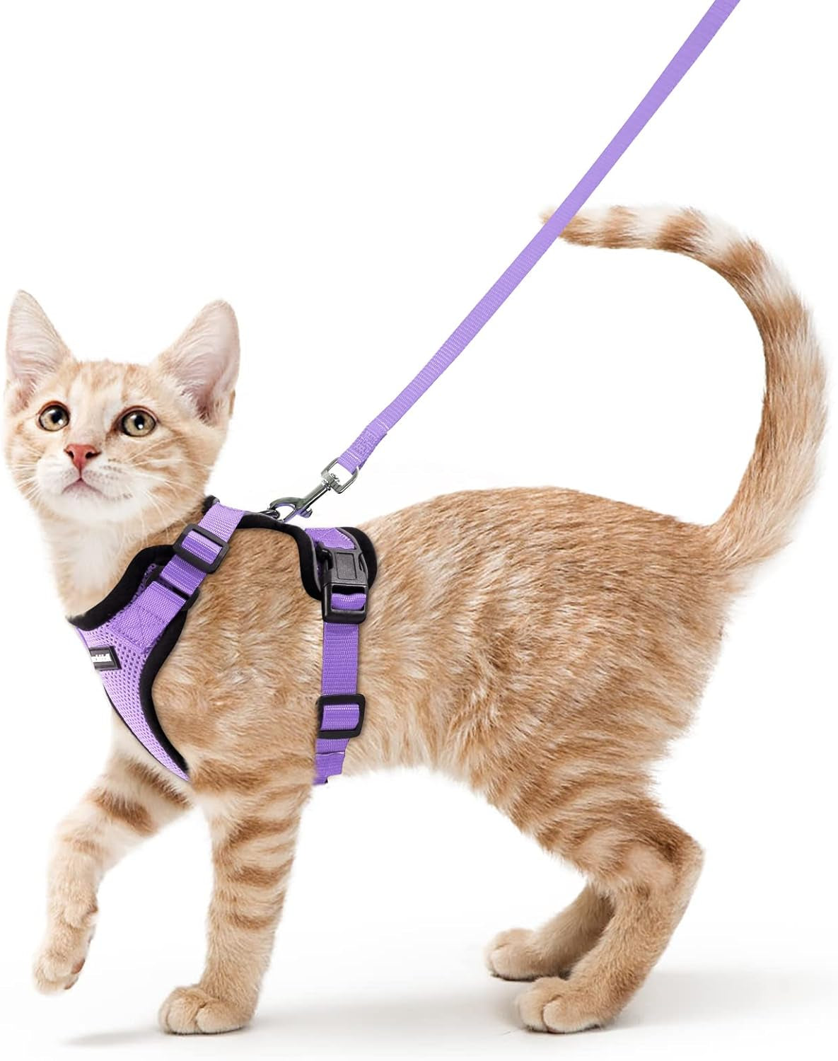 Cat Harness and Leash for Walking, Escape Proof Soft Adjustable Vest Harnesses for Small Medium Cats, Easy Control Breathable Reflective Strips Jacket, XS, Black