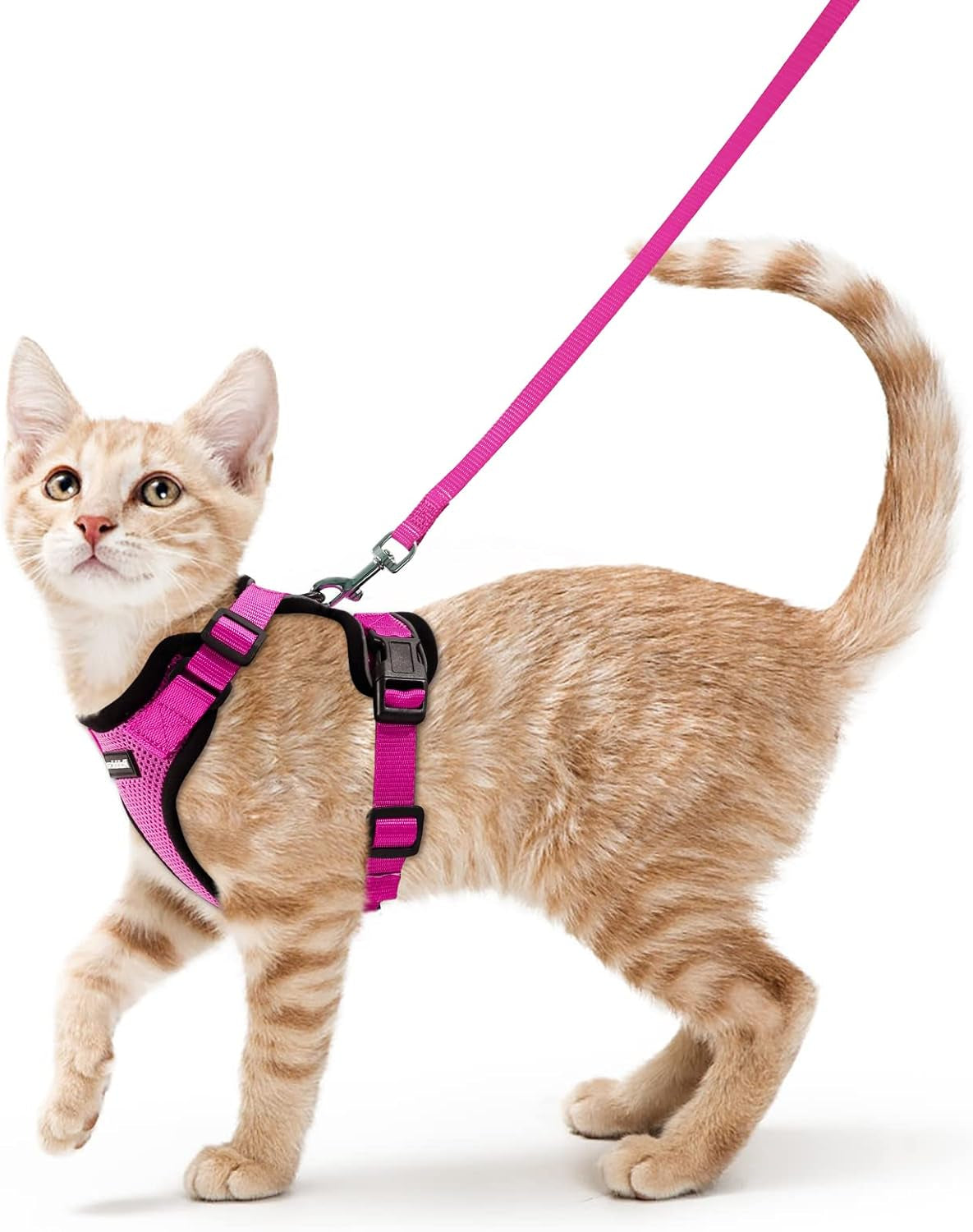 Cat Harness and Leash for Walking, Escape Proof Soft Adjustable Vest Harnesses for Small Medium Cats, Easy Control Breathable Reflective Strips Jacket, XS, Black