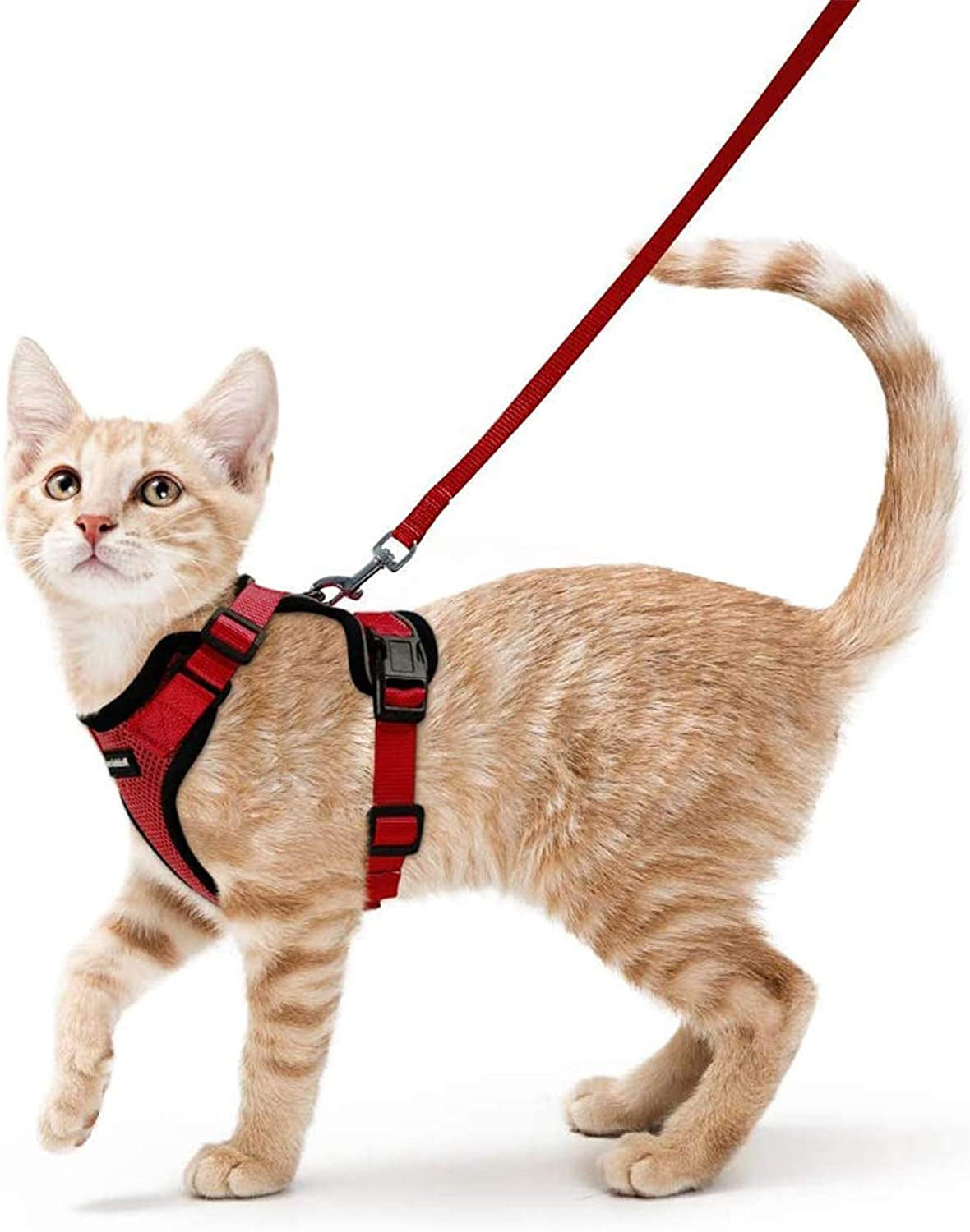 Cat Harness and Leash for Walking, Escape Proof Soft Adjustable Vest Harnesses for Small Medium Cats, Easy Control Breathable Reflective Strips Jacket, XS, Black