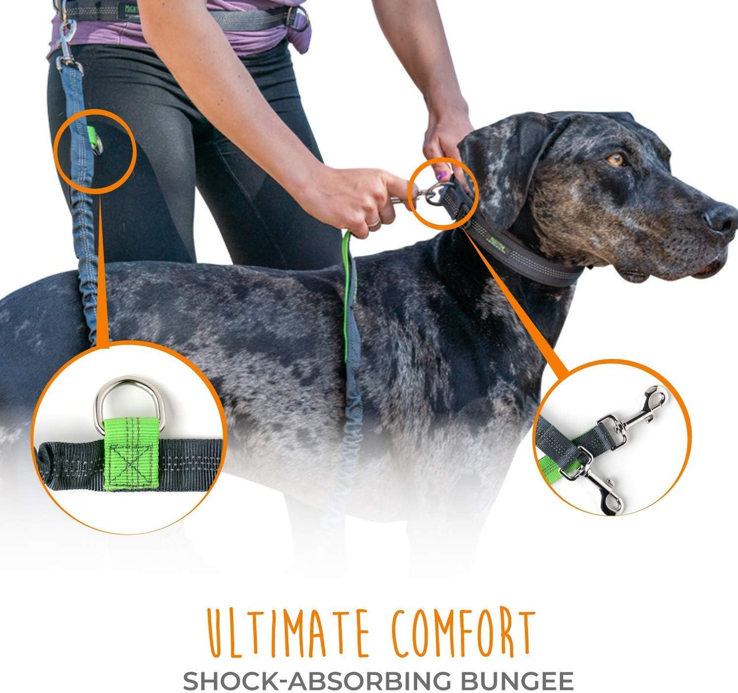 Hands Free Dog Leash | Bungee Waist Leash for Dog Walking. Pet Running Hands Free Tether for Large, Medium & Small Breeds. Pet Waist Belt (36" - 48") up to 150 Lbs - Gray