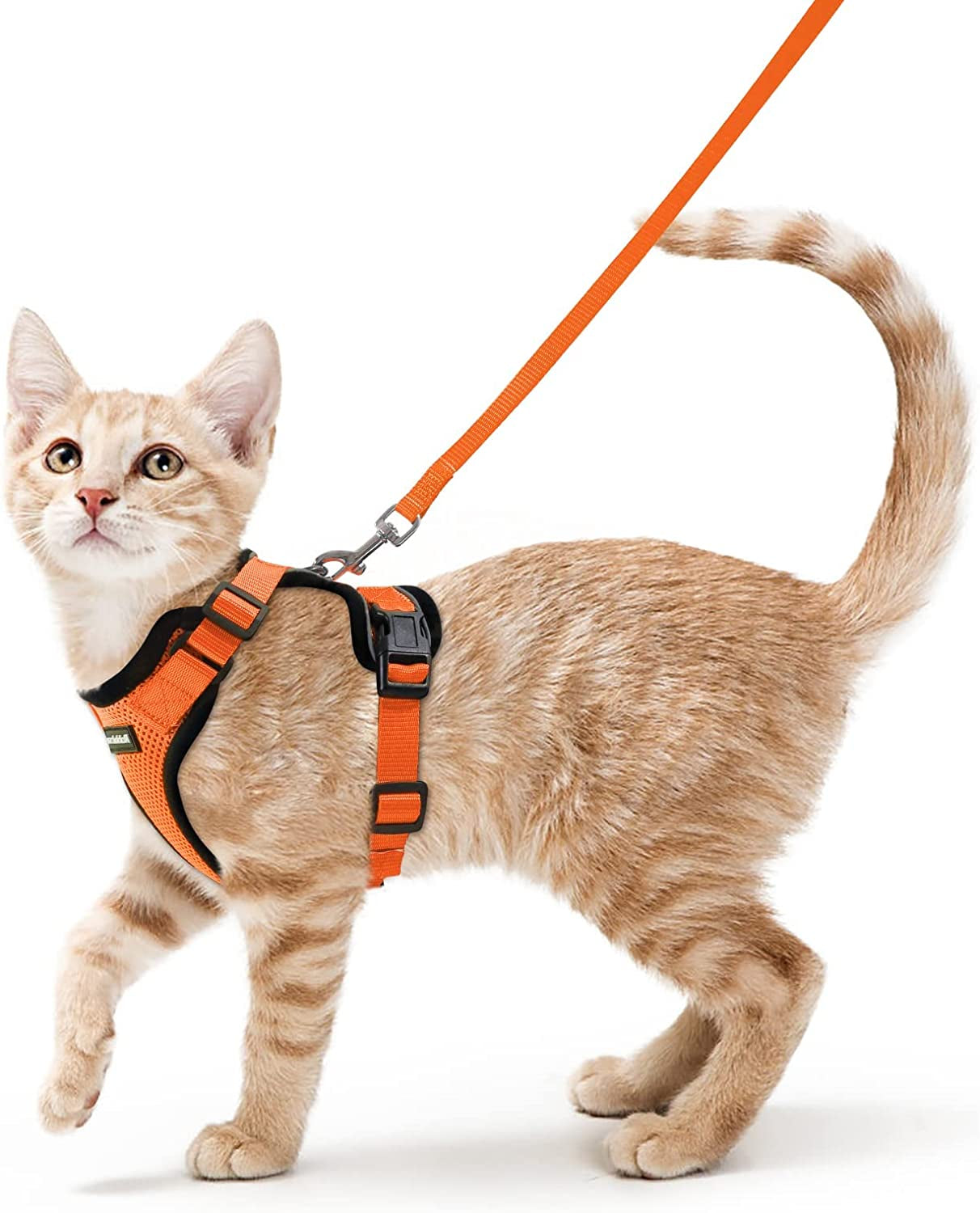 Cat Harness and Leash for Walking, Escape Proof Soft Adjustable Vest Harnesses for Small Medium Cats, Easy Control Breathable Reflective Strips Jacket, XS, Black