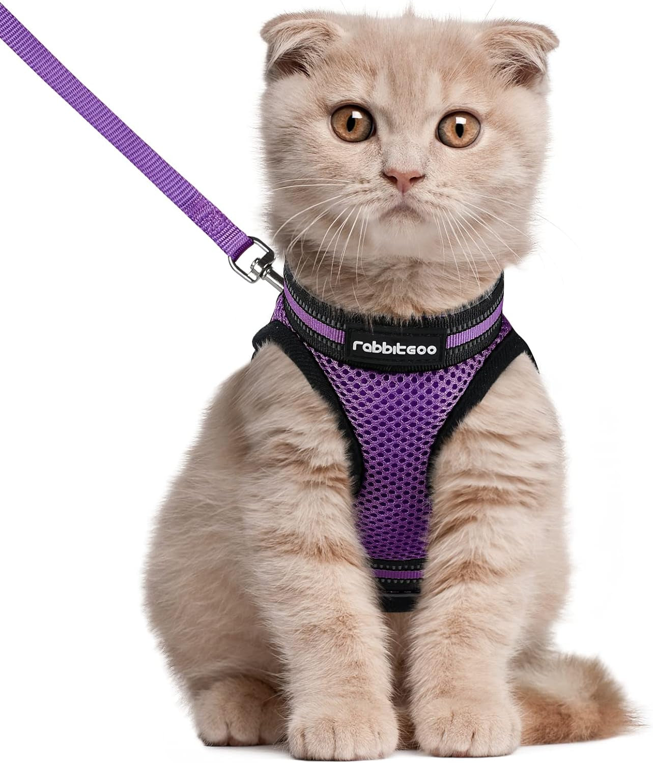 Cat Harness and Leash Set for Walking Escape Proof, Adjustable Soft Kittens Vest with Reflective Strip for Cats, Comfortable Outdoor Vest, Black, Small