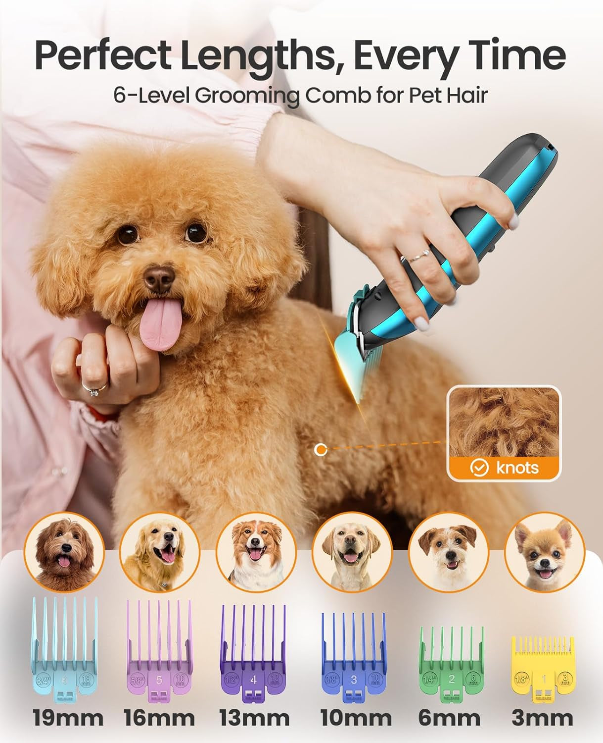 Dog Clippers for Grooming and Paw Trimmer Double Blades, Quiet Rechargeable Cordless Dog Hair Clippers with Stainless Steel Blade Dog Grooming Kit for Thick Coats Small Large Dogs, DTJ 002