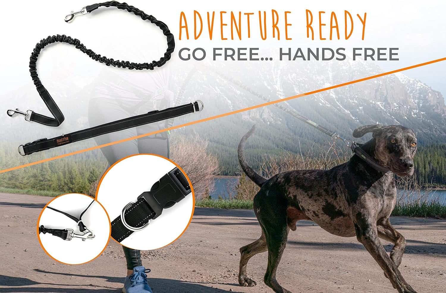 Hands Free Dog Leash | Bungee Waist Leash for Dog Walking. Pet Running Hands Free Tether for Large, Medium & Small Breeds. Pet Waist Belt (36" - 48") up to 150 Lbs - Black