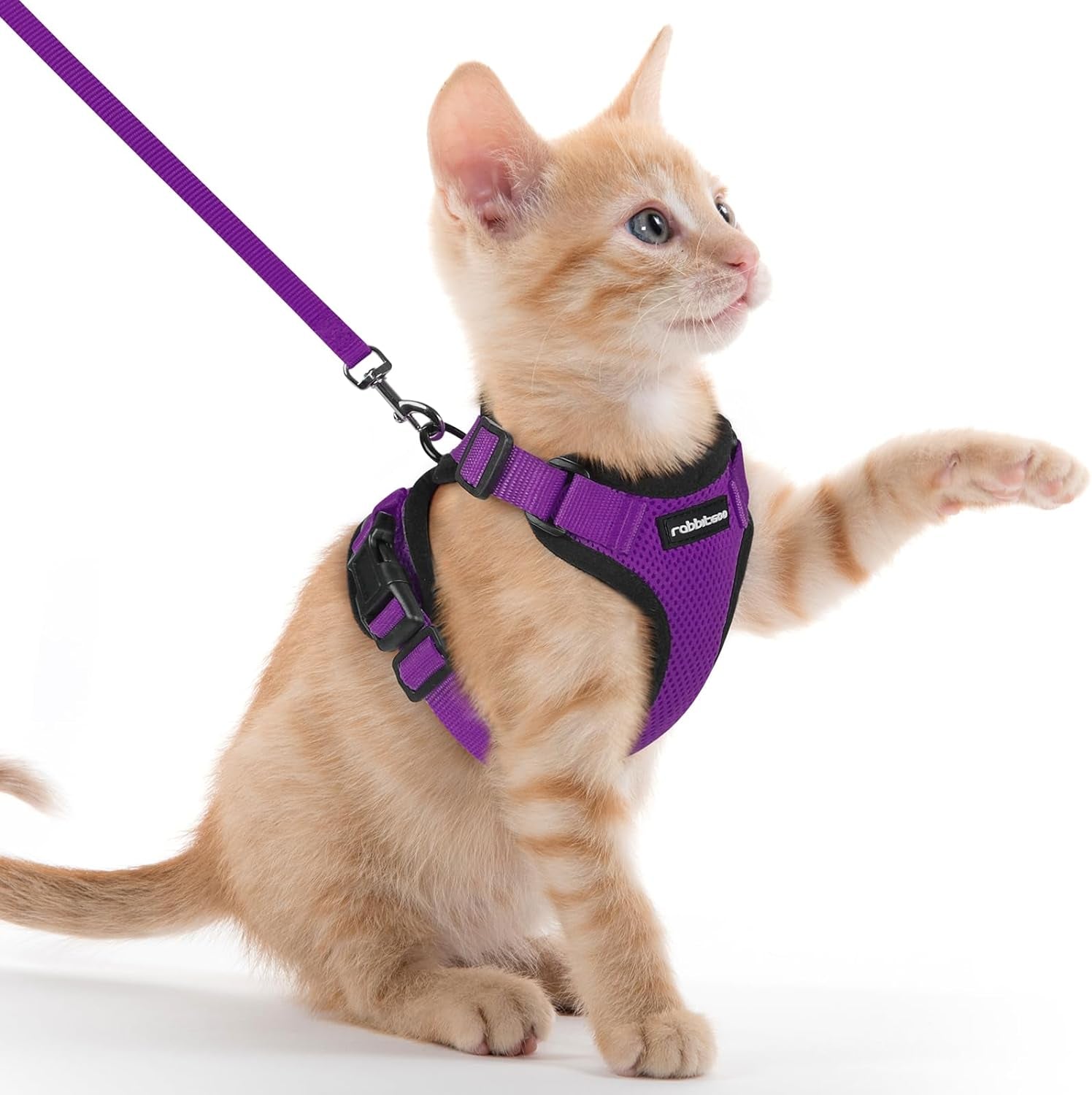 Cat Harness and Leash for Walking, Escape Proof Soft Adjustable Vest Harnesses for Small Medium Cats, Easy Control Breathable Reflective Strips Jacket, XS, Black