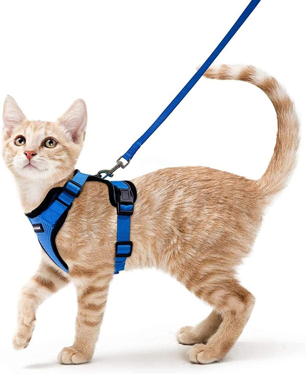 Cat Harness and Leash for Walking, Escape Proof Soft Adjustable Vest Harnesses for Small Medium Cats, Easy Control Breathable Reflective Strips Jacket, XS, Black