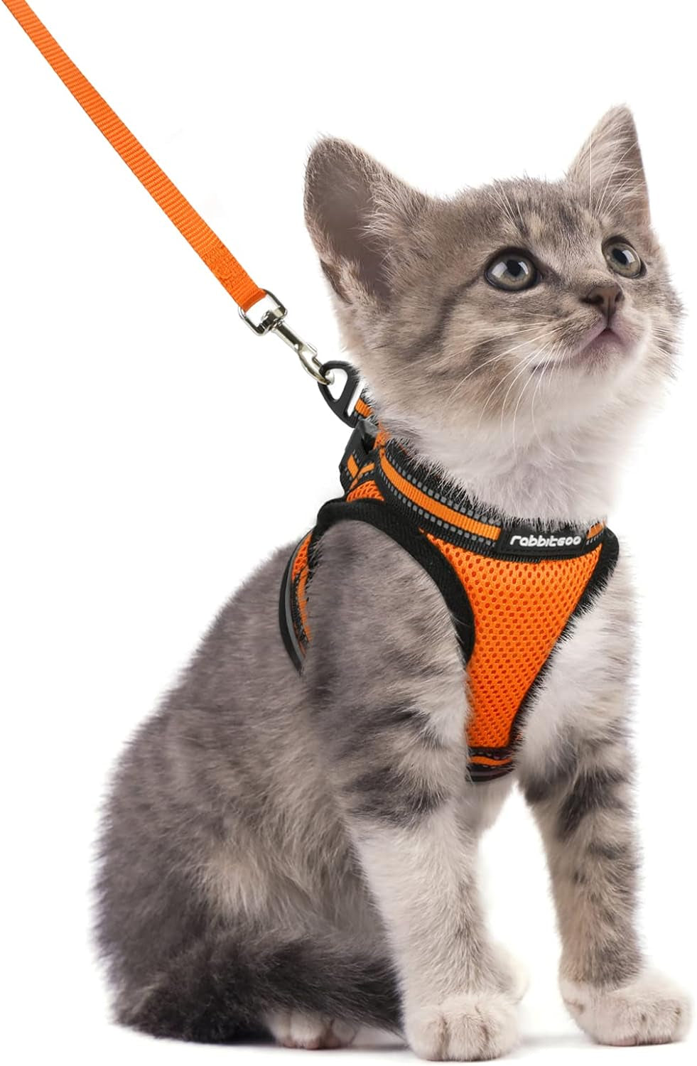 Cat Harness and Leash Set for Walking Escape Proof, Adjustable Soft Kittens Vest with Reflective Strip for Cats, Comfortable Outdoor Vest, Black, Small