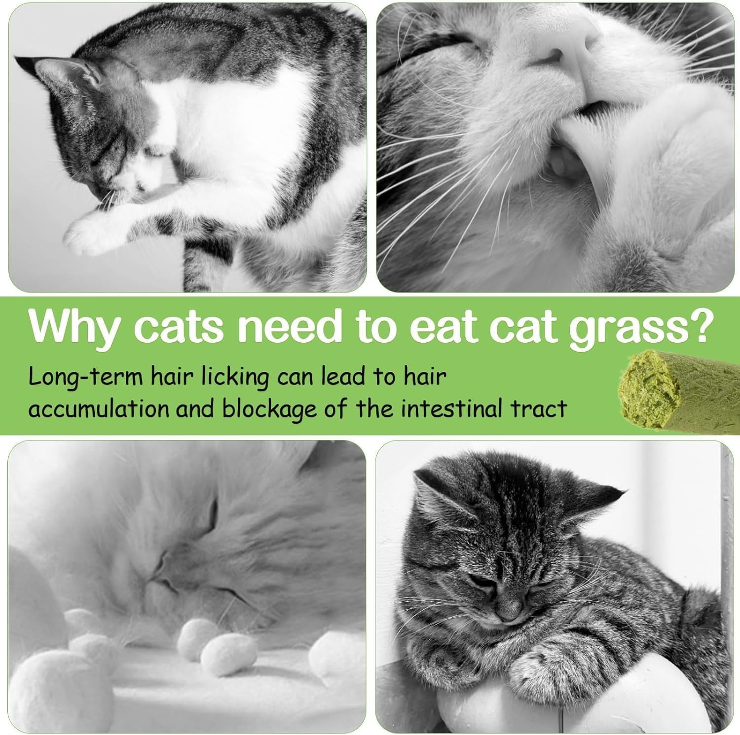 50G Cat Grass Teething Stick for Cat, Natural Dried Cat Grass Treats Snacks for Cats, Edible Cat Chew Toys for Teeth Cleaning and Hairball Removal