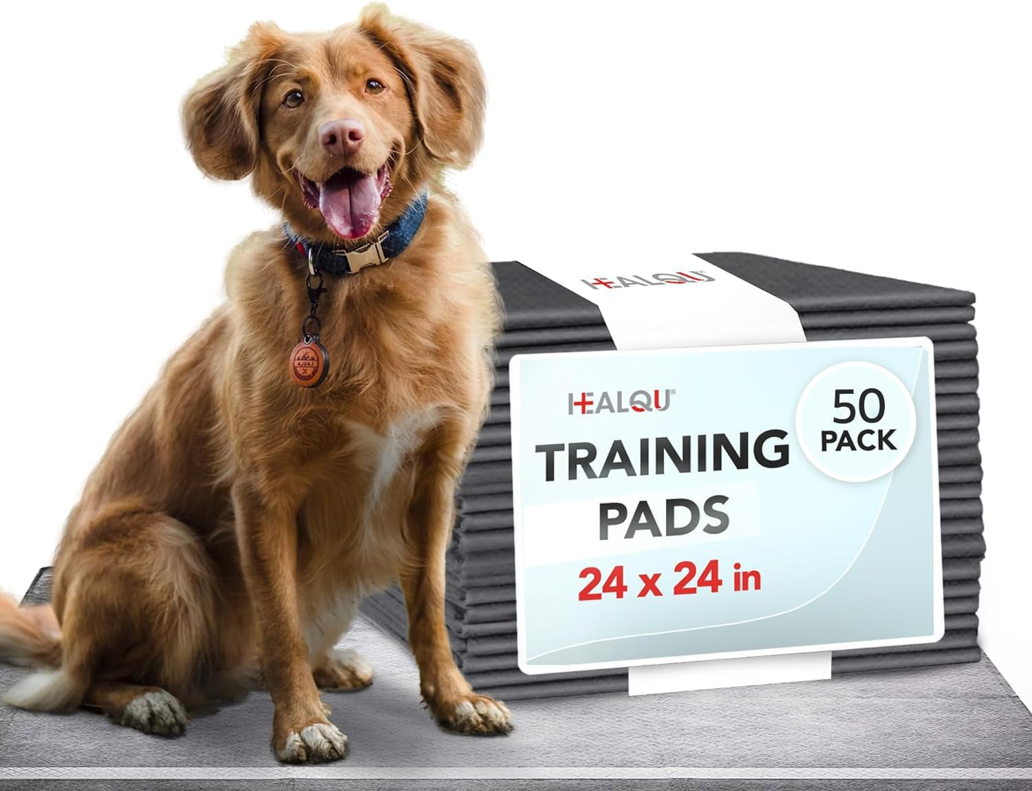 Puppy Pads - 24X24 100 Count, - Dog Training Pad with Activated Carbon & Advanced Leakproof Technology - Ultra Absorbent, Attractant Puppy Pee Pads - Dogs, Puppies, & Cats, Pet Training Pads