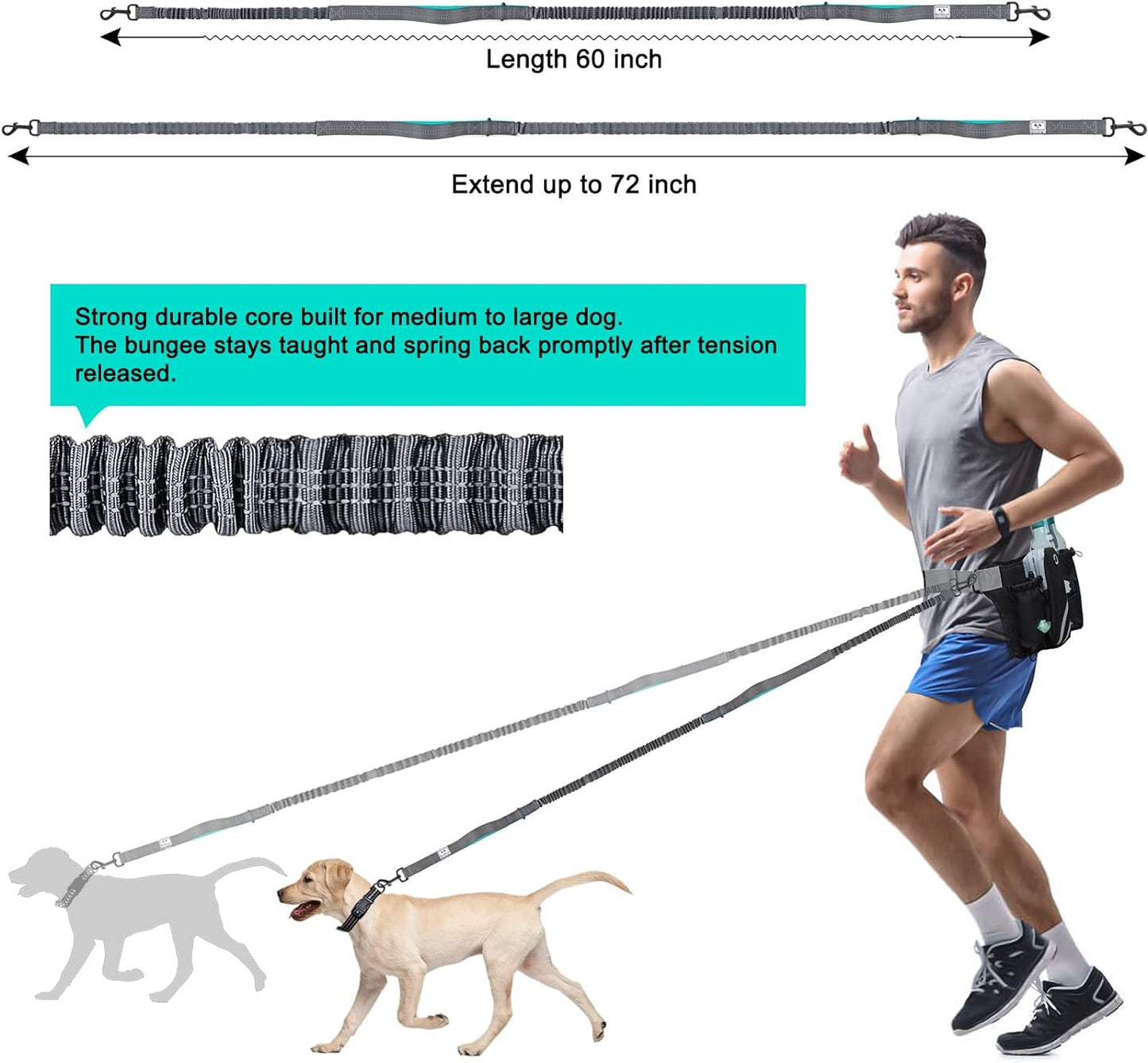 Retractable Hands Free Dog Leash with Dual Bungees for 2 Dogs, Adjustable Waist Belt Fanny Pack, Reflective Stitching Leash for Running Walking Hiking Jogging Biking Black