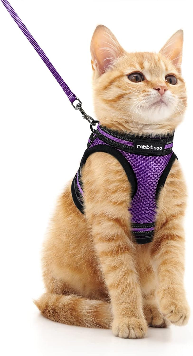 Cat Harness and Leash Set for Walking Escape Proof, Adjustable Soft Kittens Vest with Reflective Strip for Cats, Comfortable Outdoor Vest, Black, Small