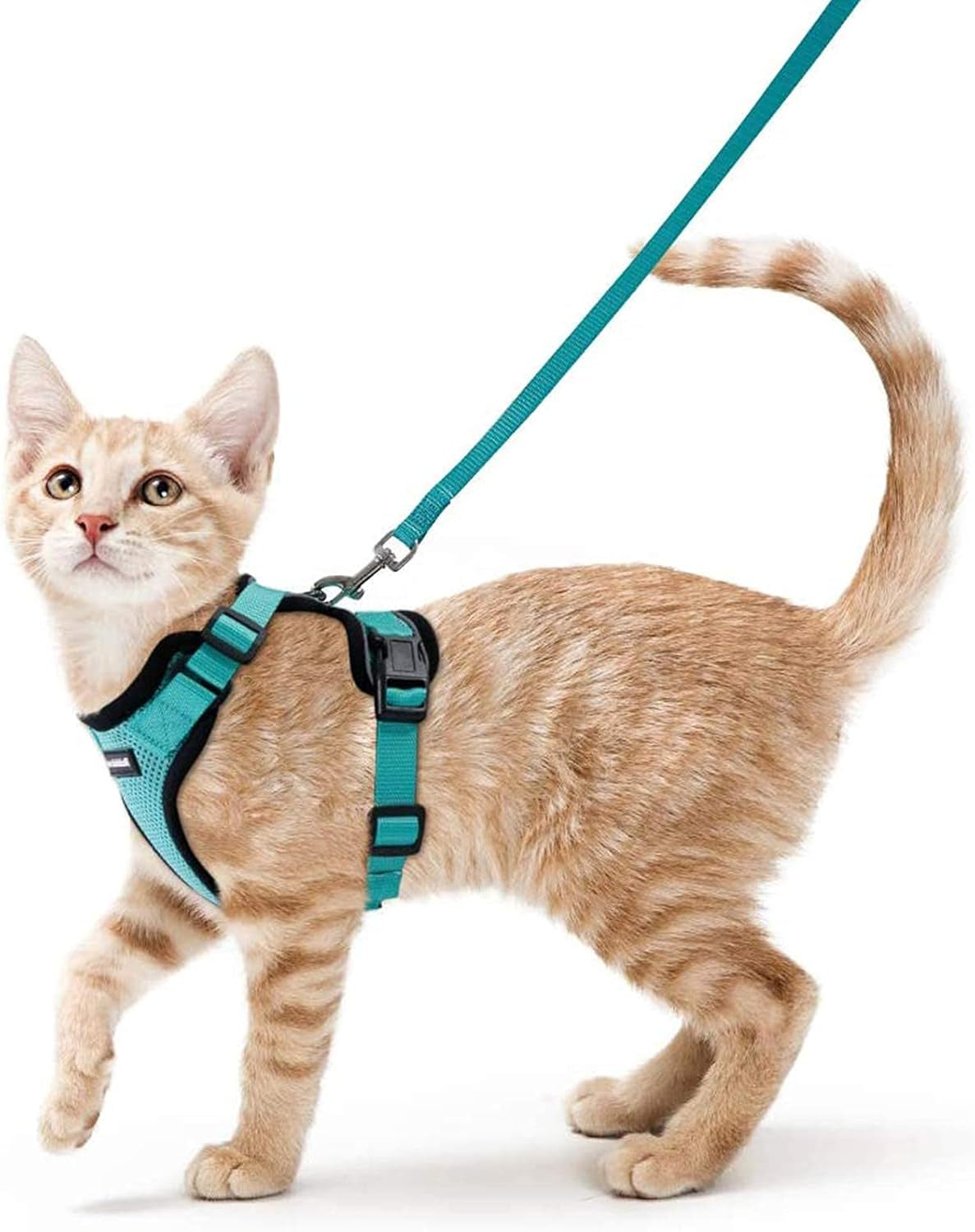 Cat Harness and Leash for Walking, Escape Proof Soft Adjustable Vest Harnesses for Small Medium Cats, Easy Control Breathable Reflective Strips Jacket, XS, Black