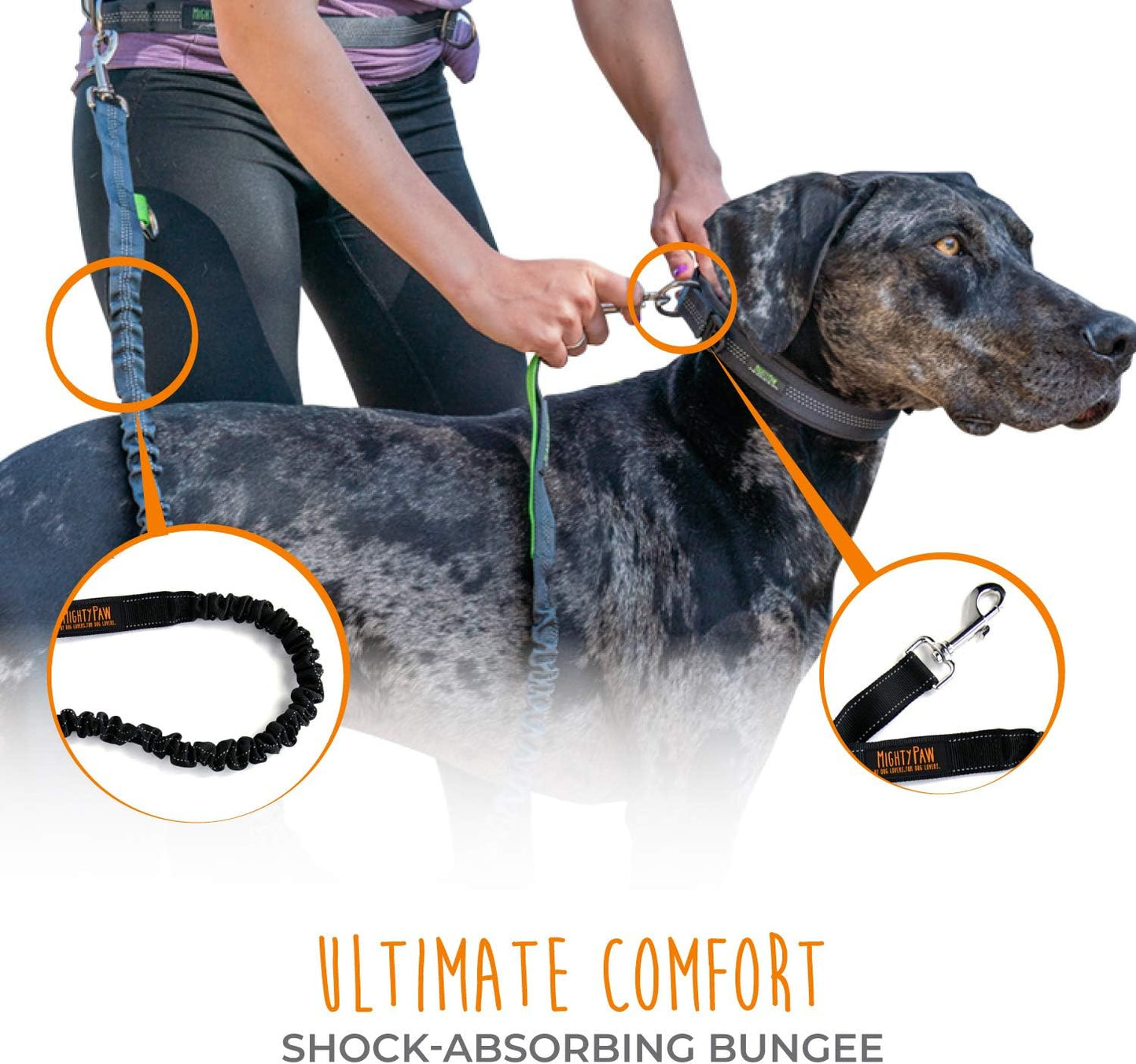 Hands Free Dog Leash | Bungee Waist Leash for Dog Walking. Pet Running Hands Free Tether for Large, Medium & Small Breeds. Pet Waist Belt (36" - 48") up to 150 Lbs - Black