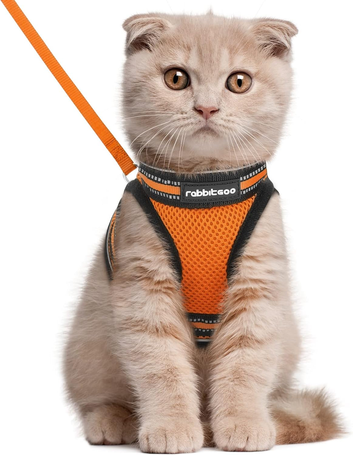 Cat Harness and Leash Set for Walking Escape Proof, Adjustable Soft Kittens Vest with Reflective Strip for Cats, Comfortable Outdoor Vest, Black, Small